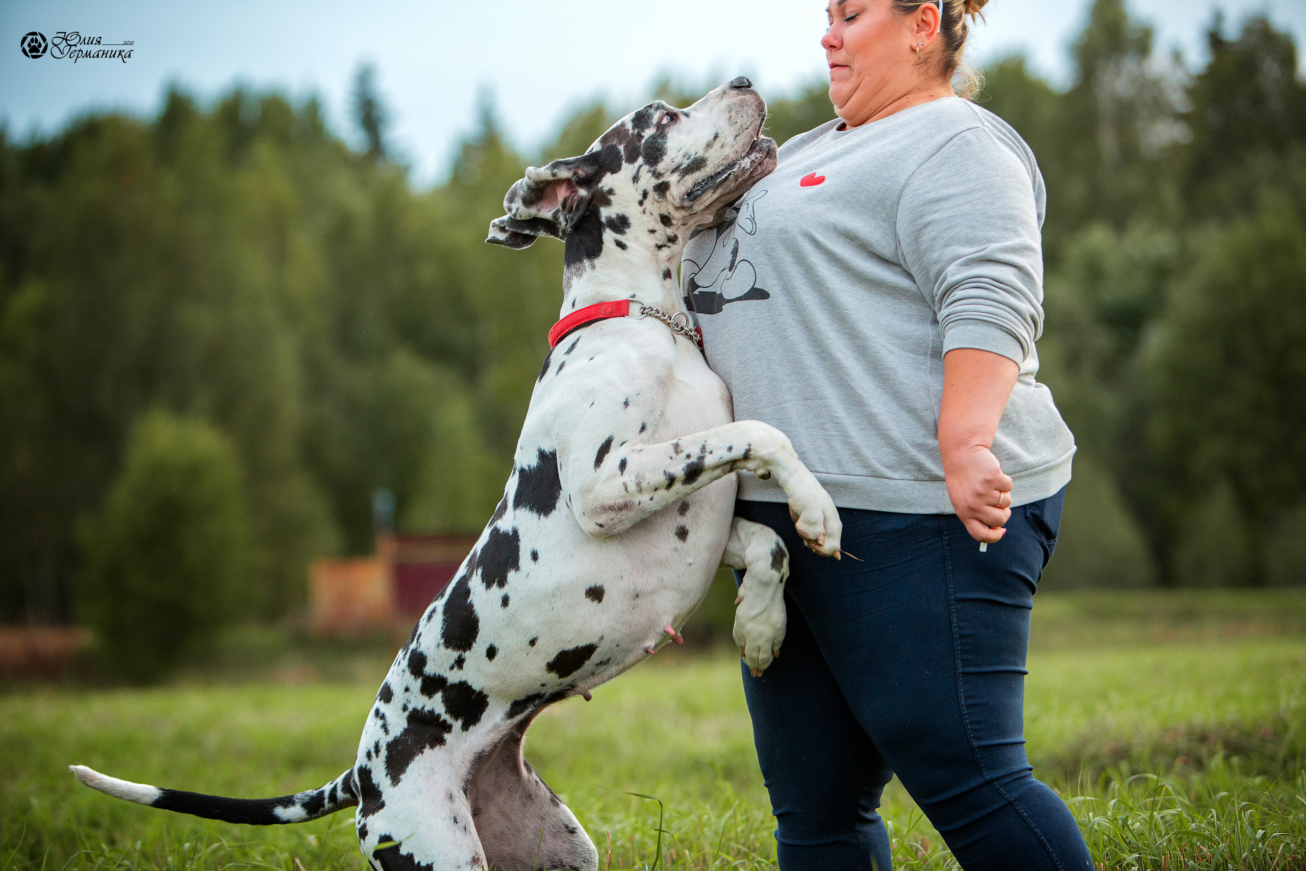 Свободная съемка. Фотограф-анималист Юлия Германика