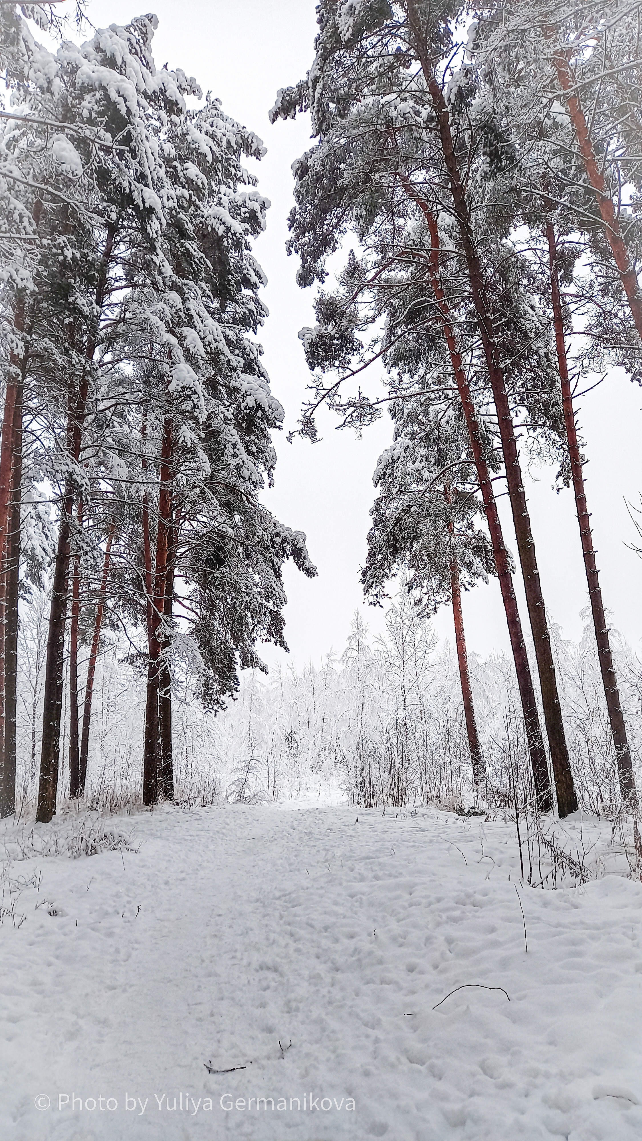 Разные фото на телефон.Города,природа. Фотограф-анималист Юлия Германика