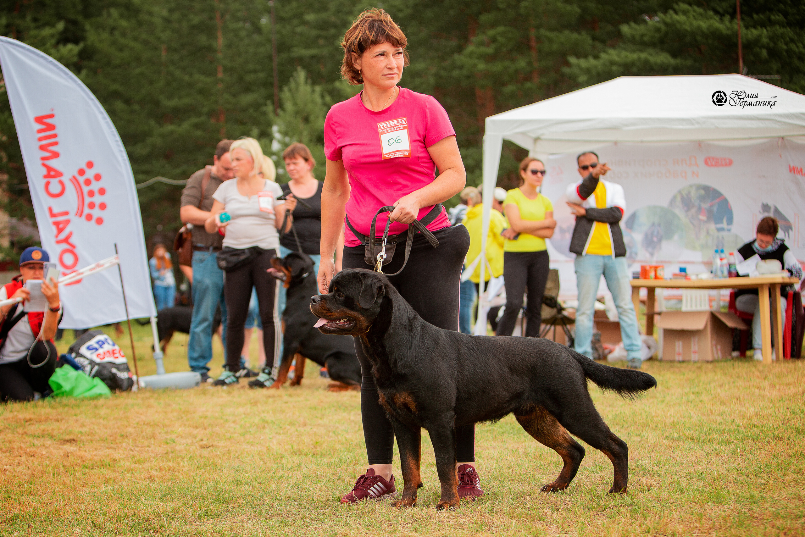 Тверь моно ротвейлеров 3-4 июля 2021. Фотограф-анималист Юлия Германика