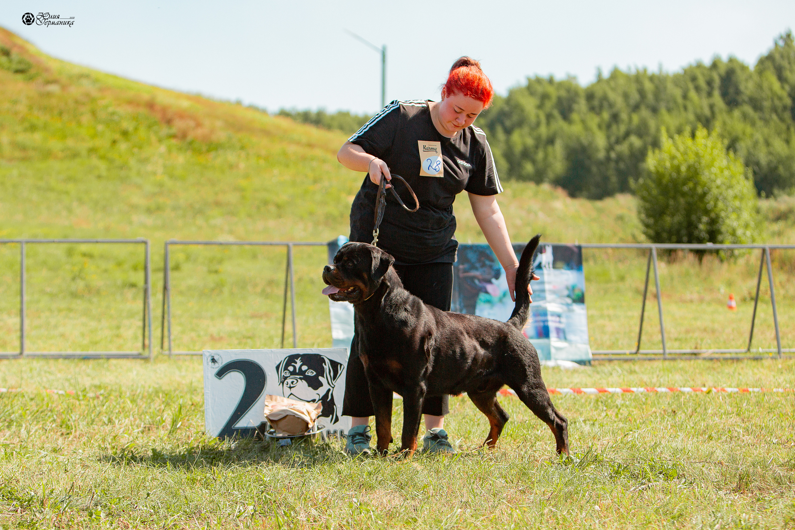 Рязань,Ховрино 14-15 августа 2021 моно ротвейлеров. Фотограф-анималист Юлия Германика