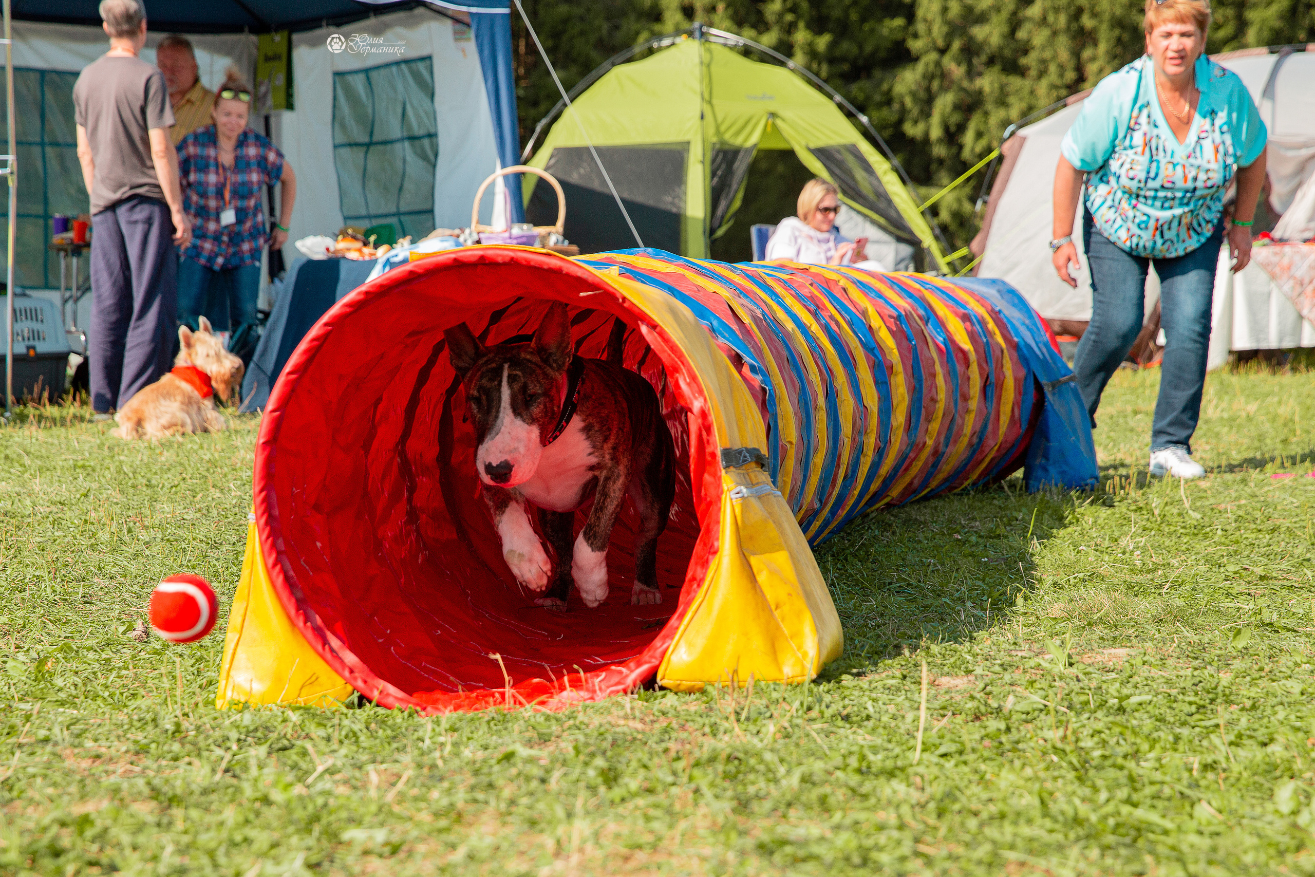 Свободная съемка. Фотограф-анималист Юлия Германика