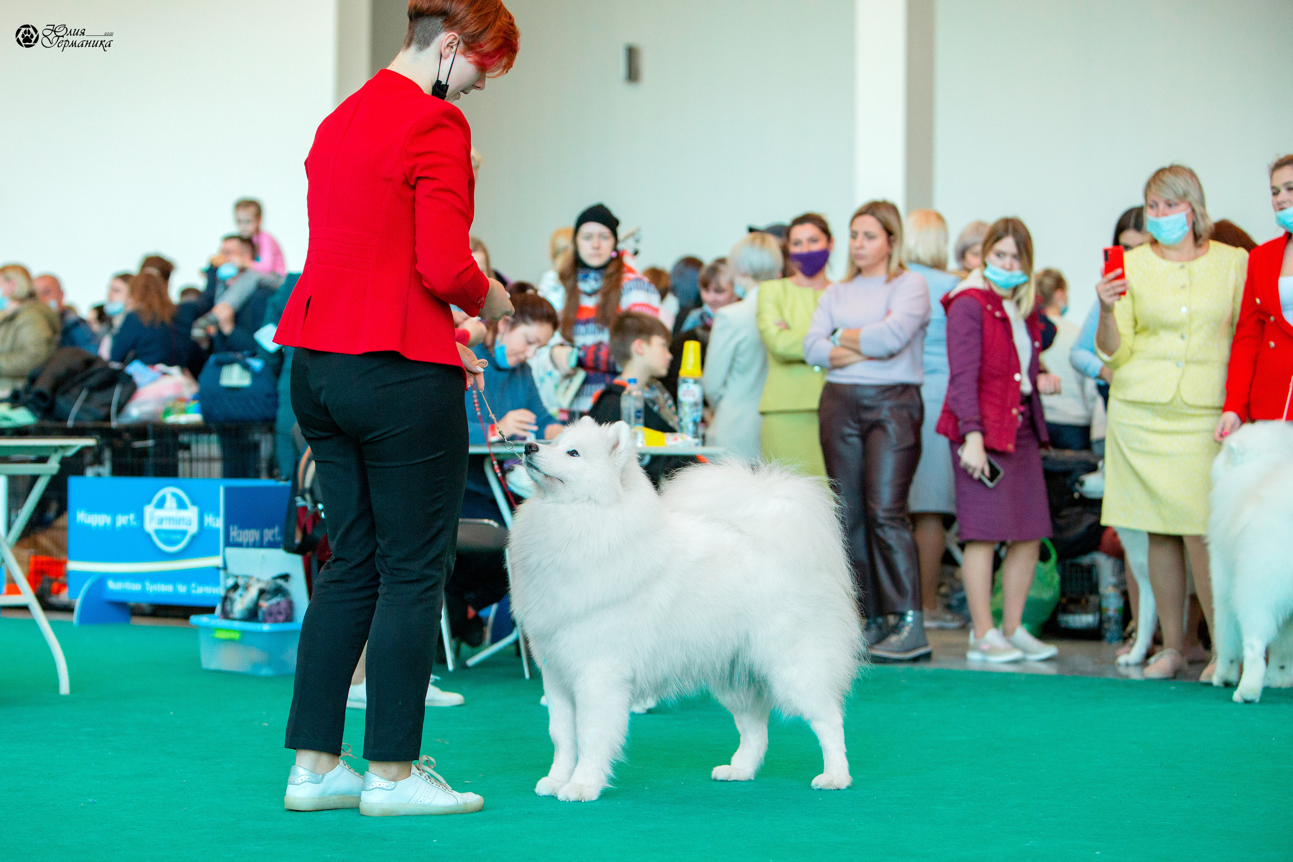 Нижний Новгород 3хCACIB 15-17 октября 2021. Фотограф-анималист Юлия Германика