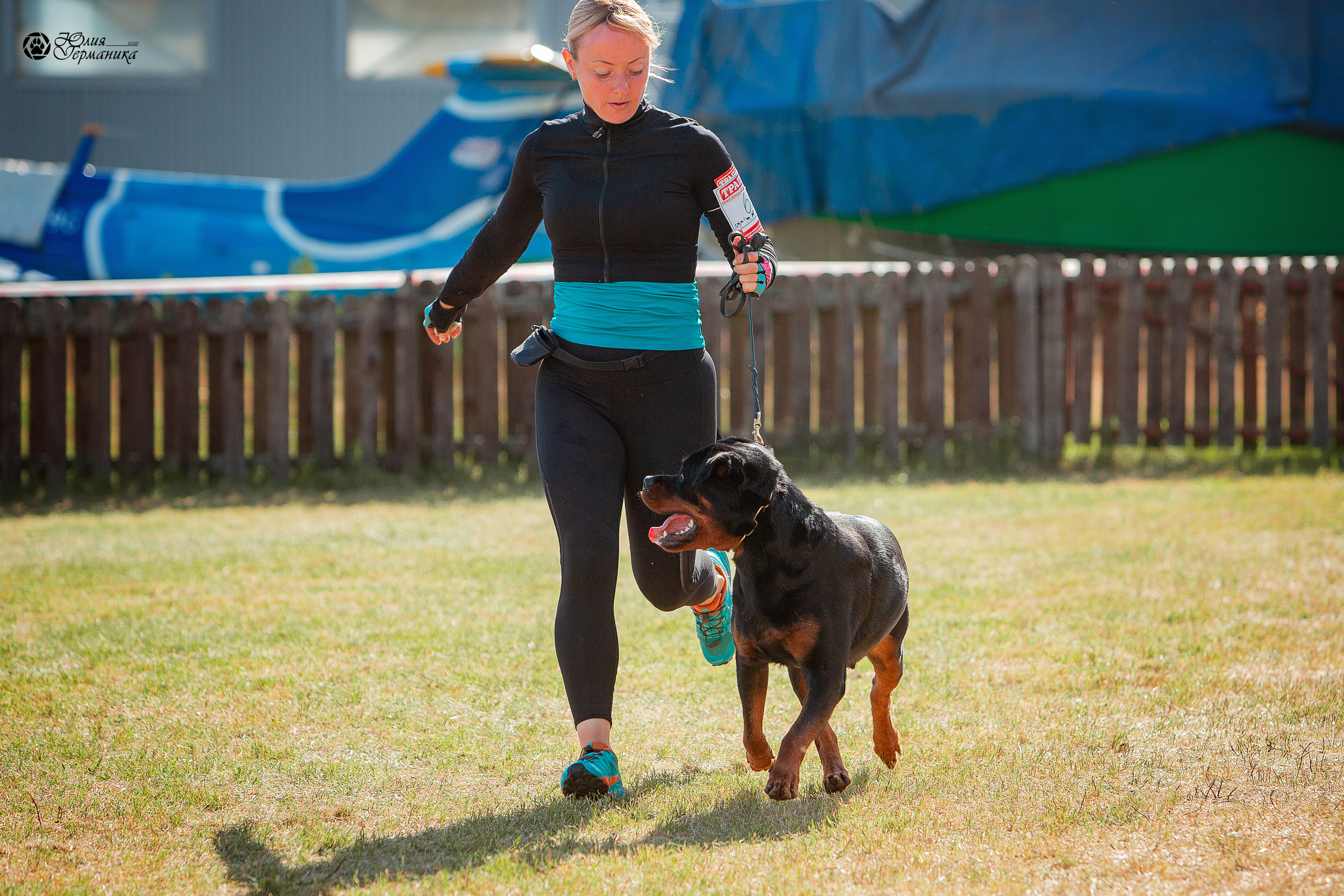 Тверь моно ротвейлеров 3-4 июля 2021. Фотограф-анималист Юлия Германика