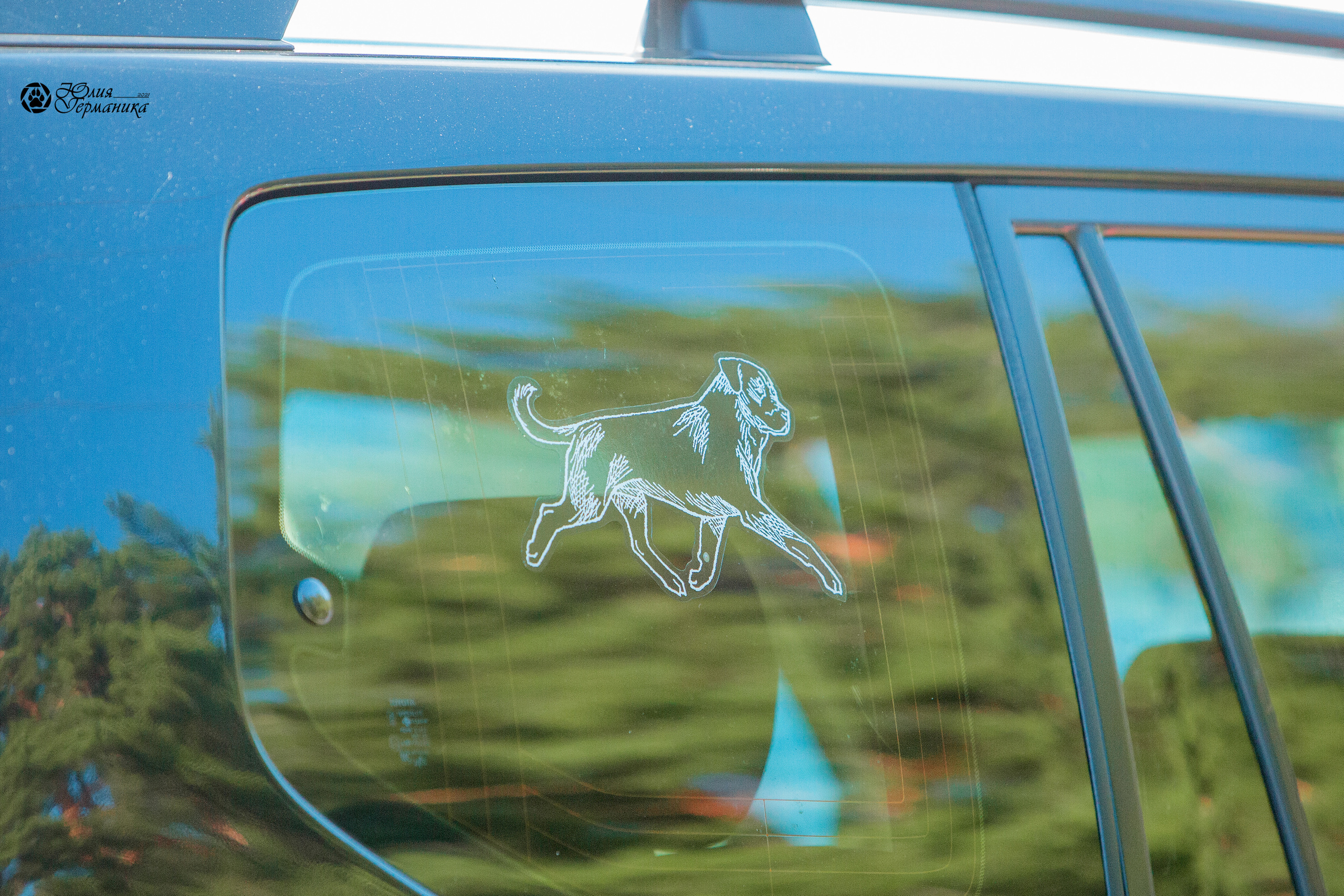 Тверь моно ротвейлеров 3-4 июля 2021. Фотограф-анималист Юлия Германика