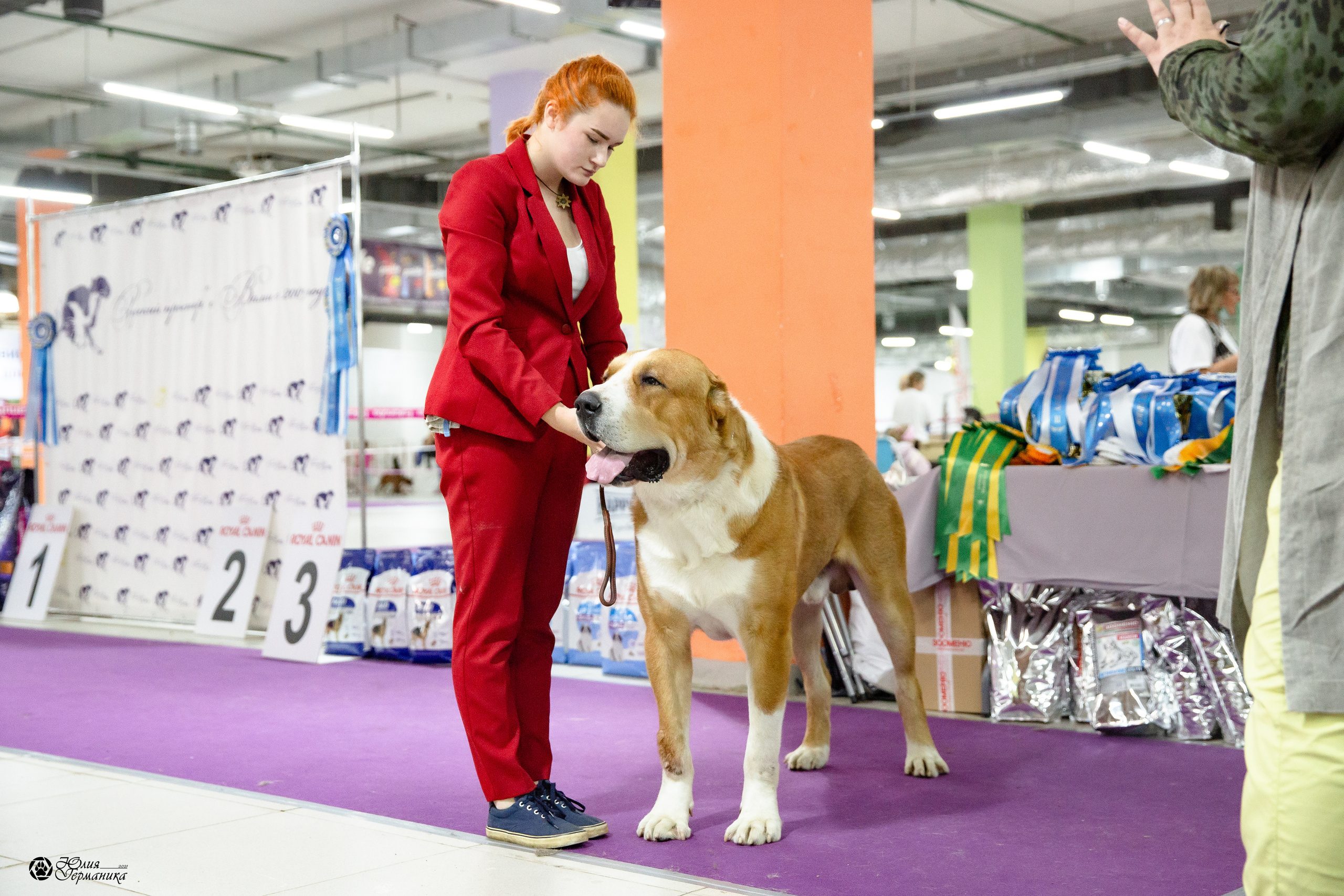 Чайна-Таун 2021. Фотограф-анималист Юлия Германика