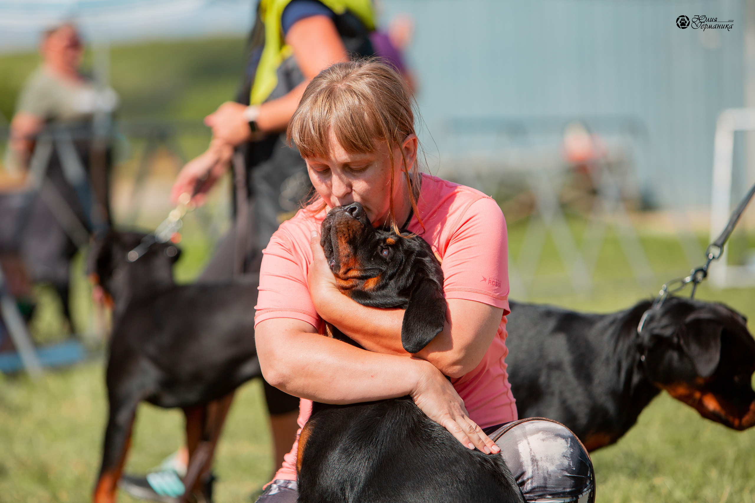 Рязань,Ховрино 14-15 августа 2021 моно ротвейлеров. Фотограф-анималист Юлия Германика
