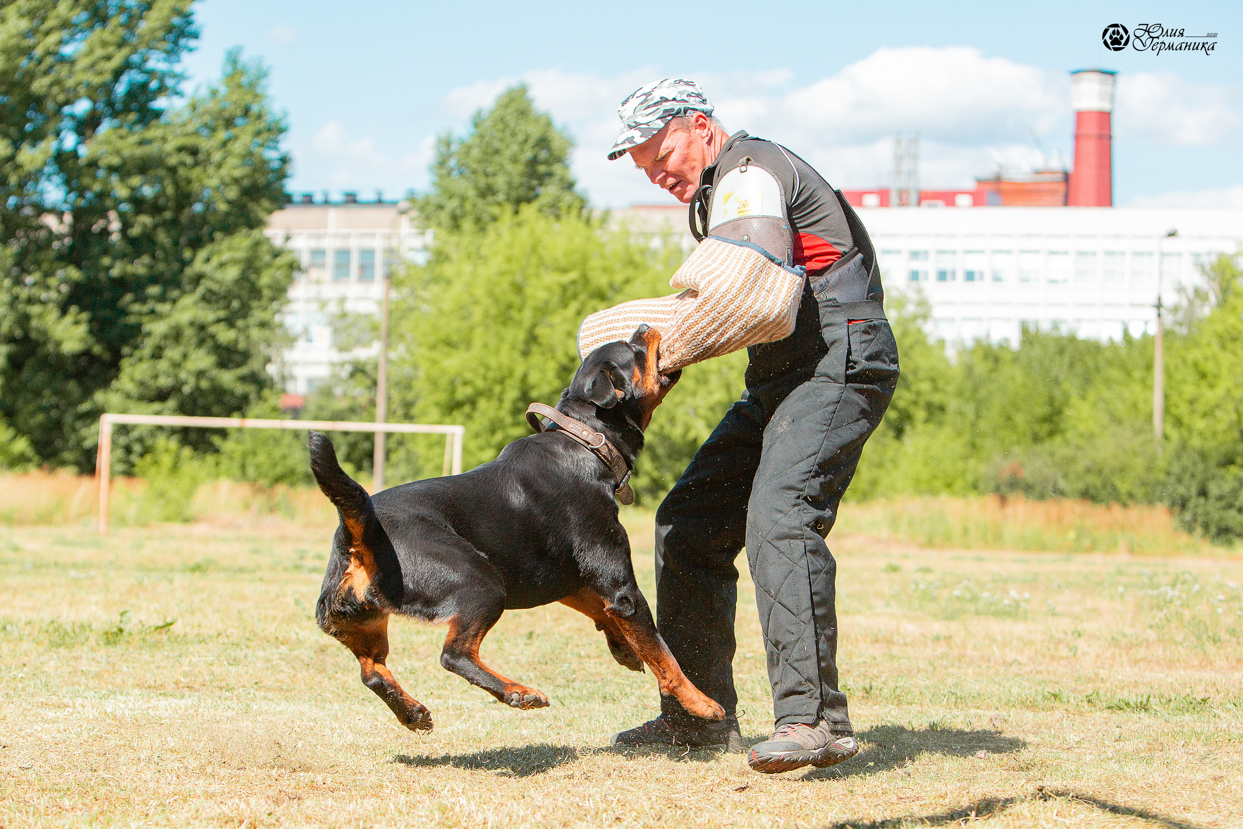 Монопородная выставка ротвейлеров Питер. Фотограф-анималист Юлия Германика