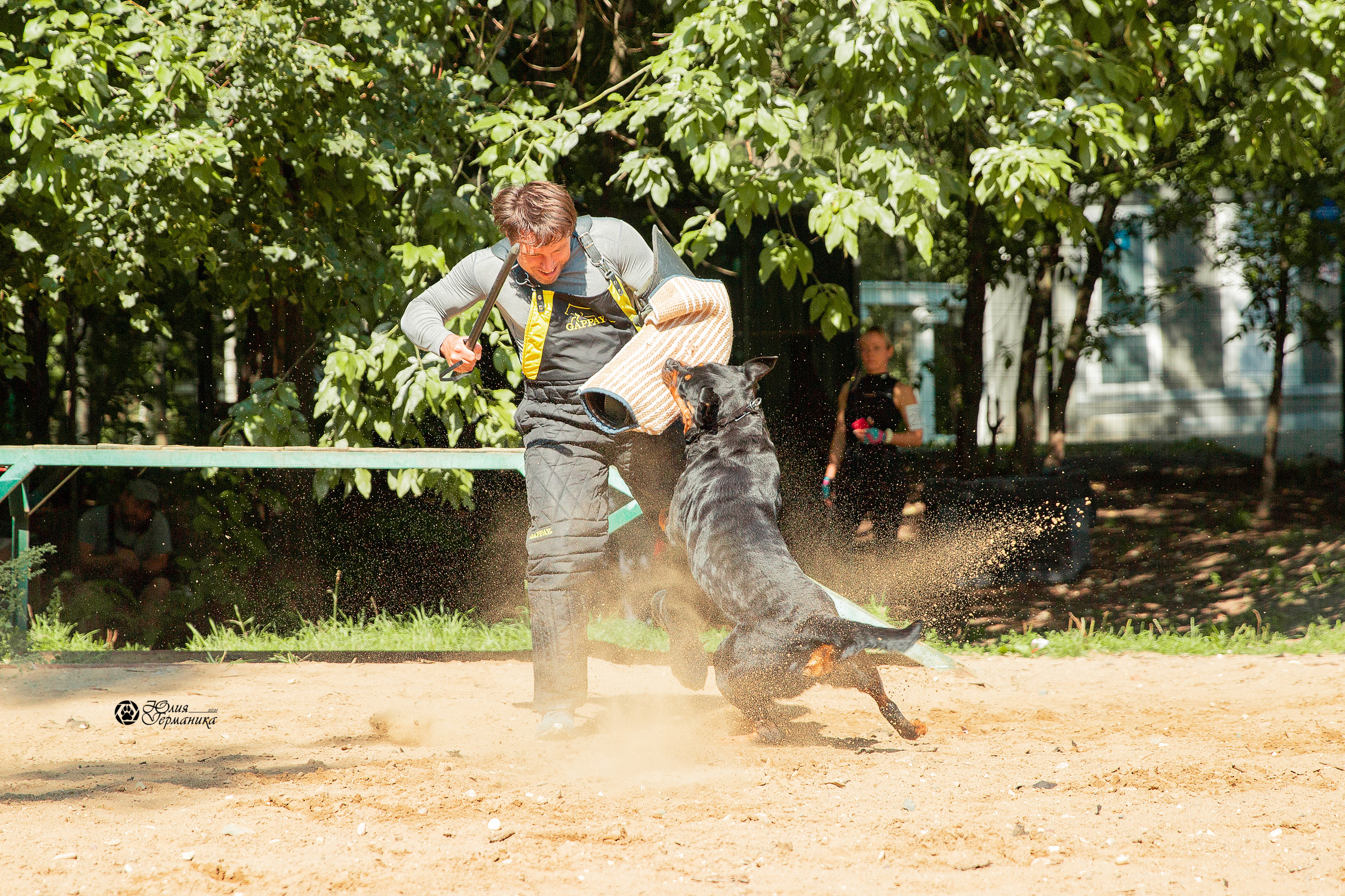 Рязань,Ховрино 14-15 августа 2021 моно ротвейлеров. Фотограф-анималист Юлия Германика