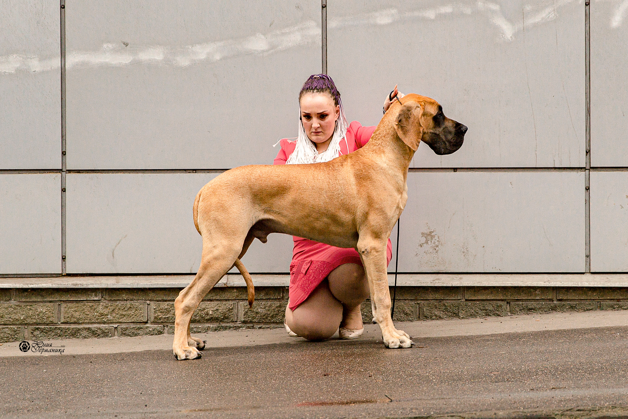 Чайник  13-14 ноября 2021. Фотограф-анималист Юлия Германика