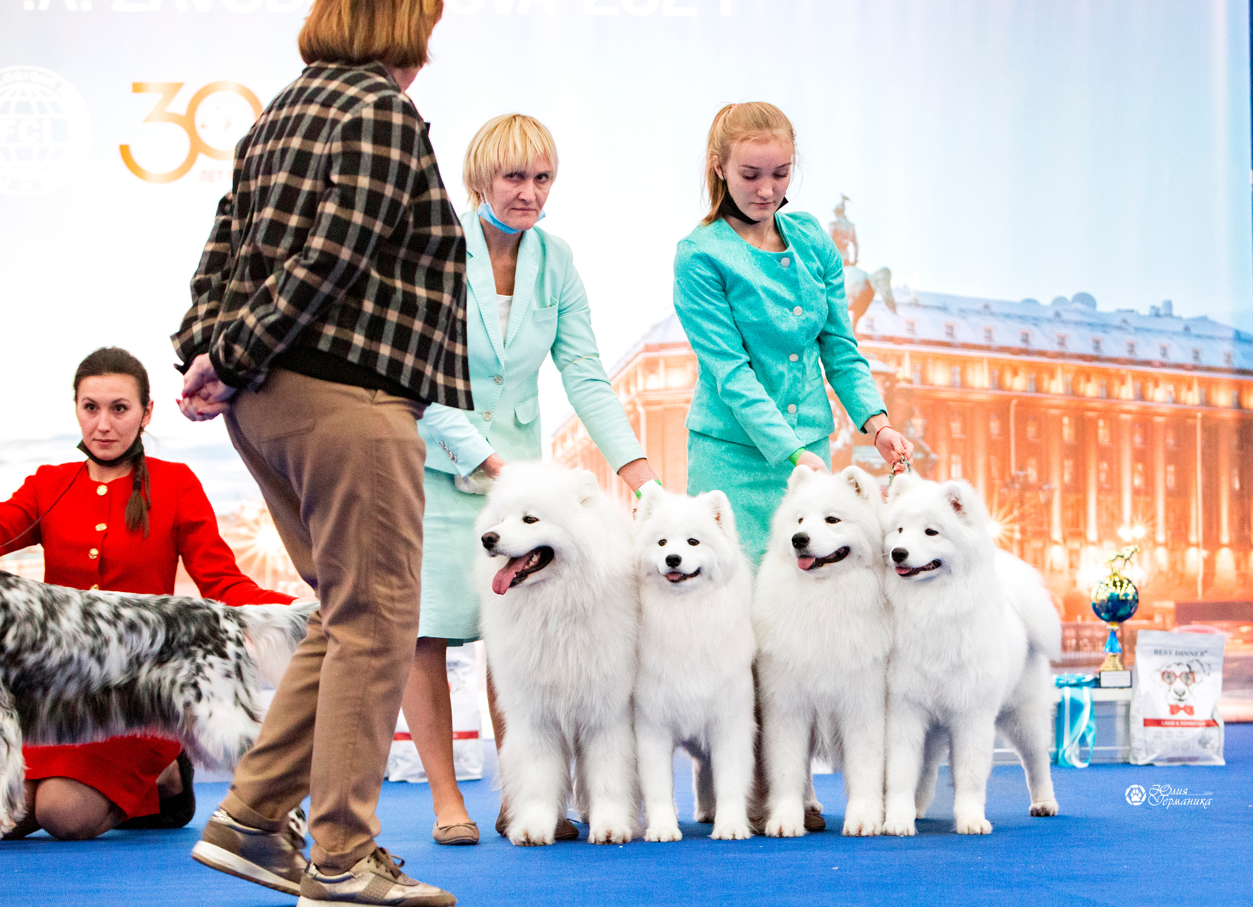Санкт-Петербург 3хCACIB 10-12 декабря 2021. Фотограф-анималист Юлия Германика