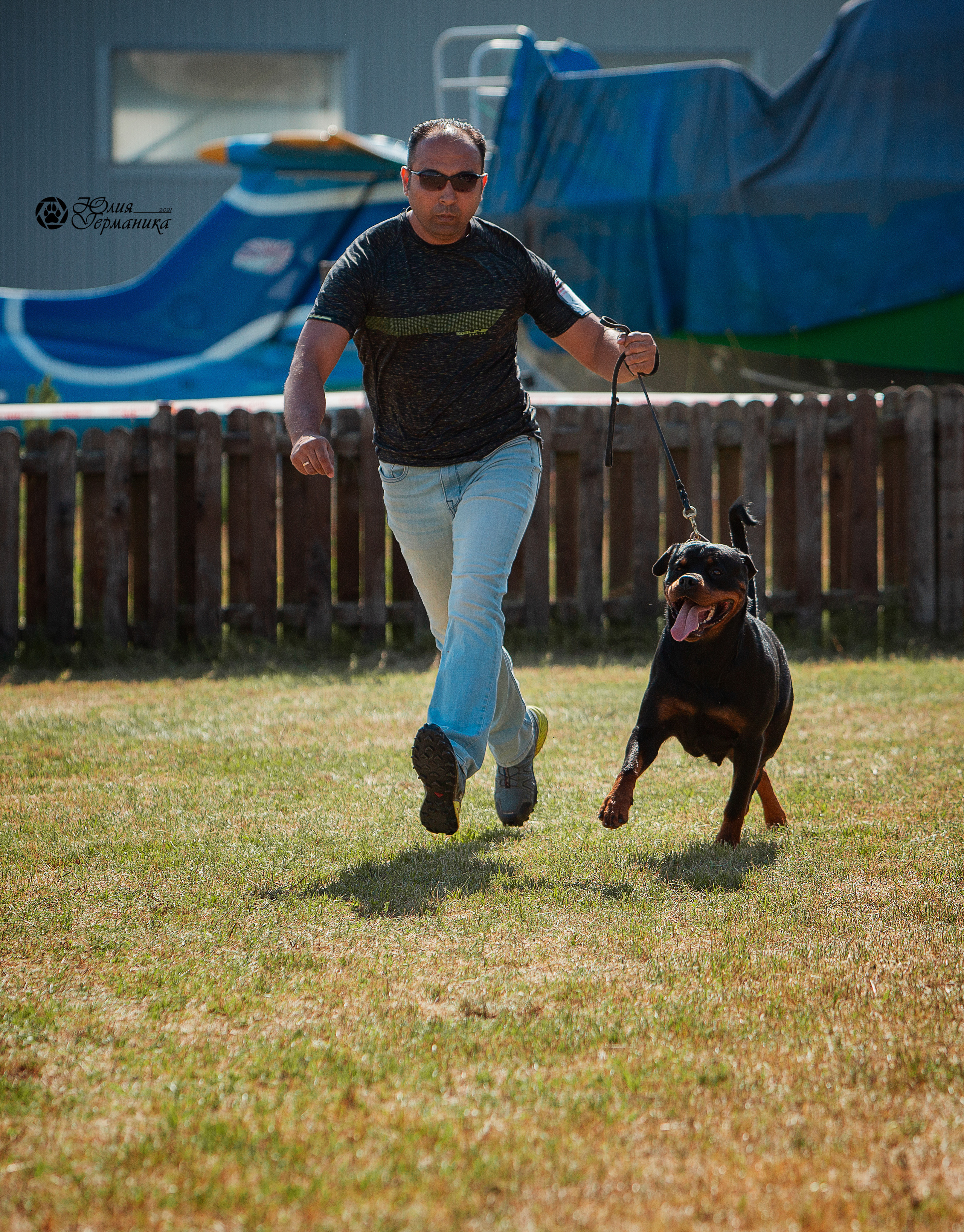 Тверь моно ротвейлеров 3-4 июля 2021. Фотограф-анималист Юлия Германика