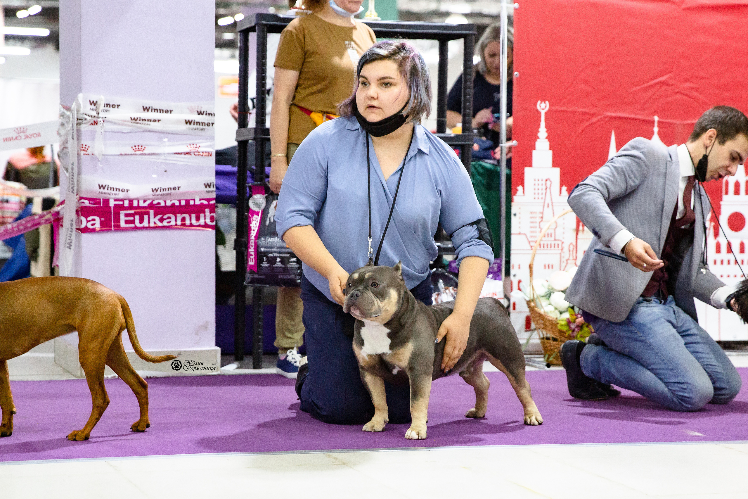 Чайна-Таун 2021. Фотограф-анималист Юлия Германика