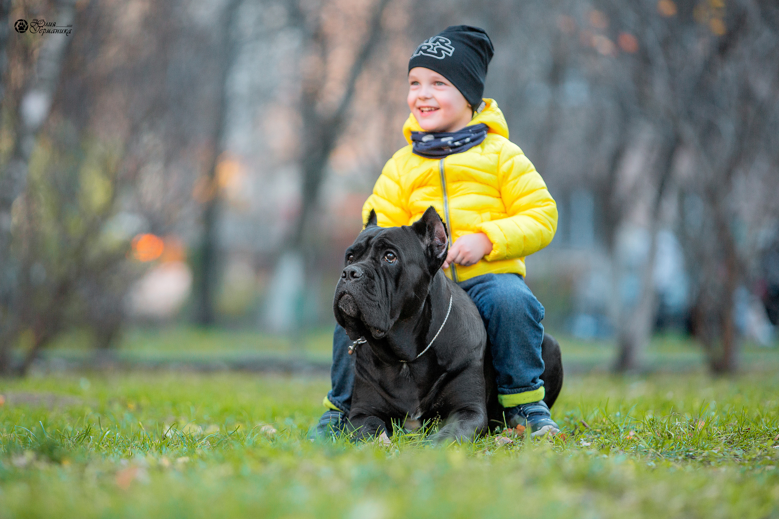 Свободная съемка. Фотограф-анималист Юлия Германика