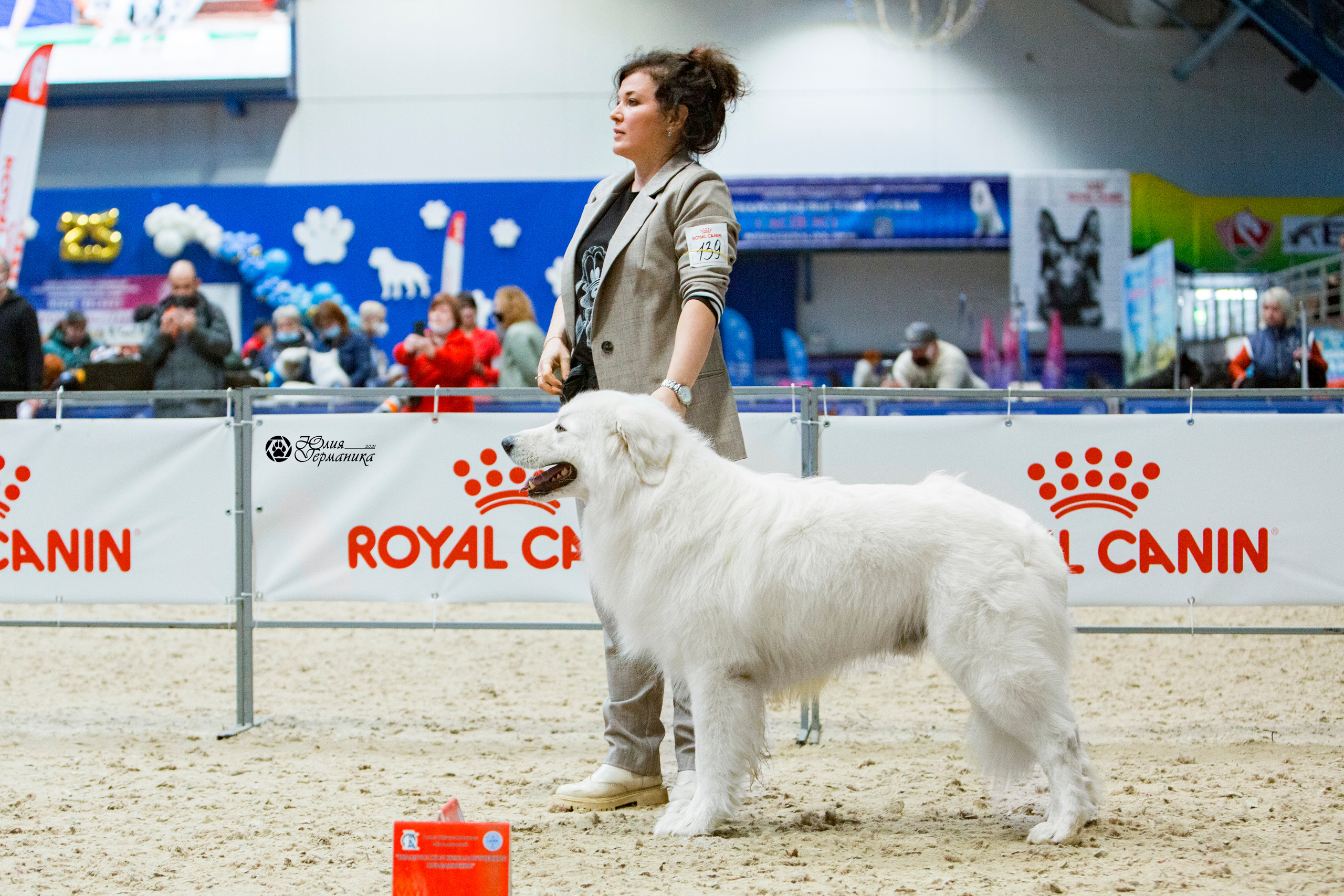 Минск 2хCACIB 27-28 ноября 2021. Фотограф-анималист Юлия Германика