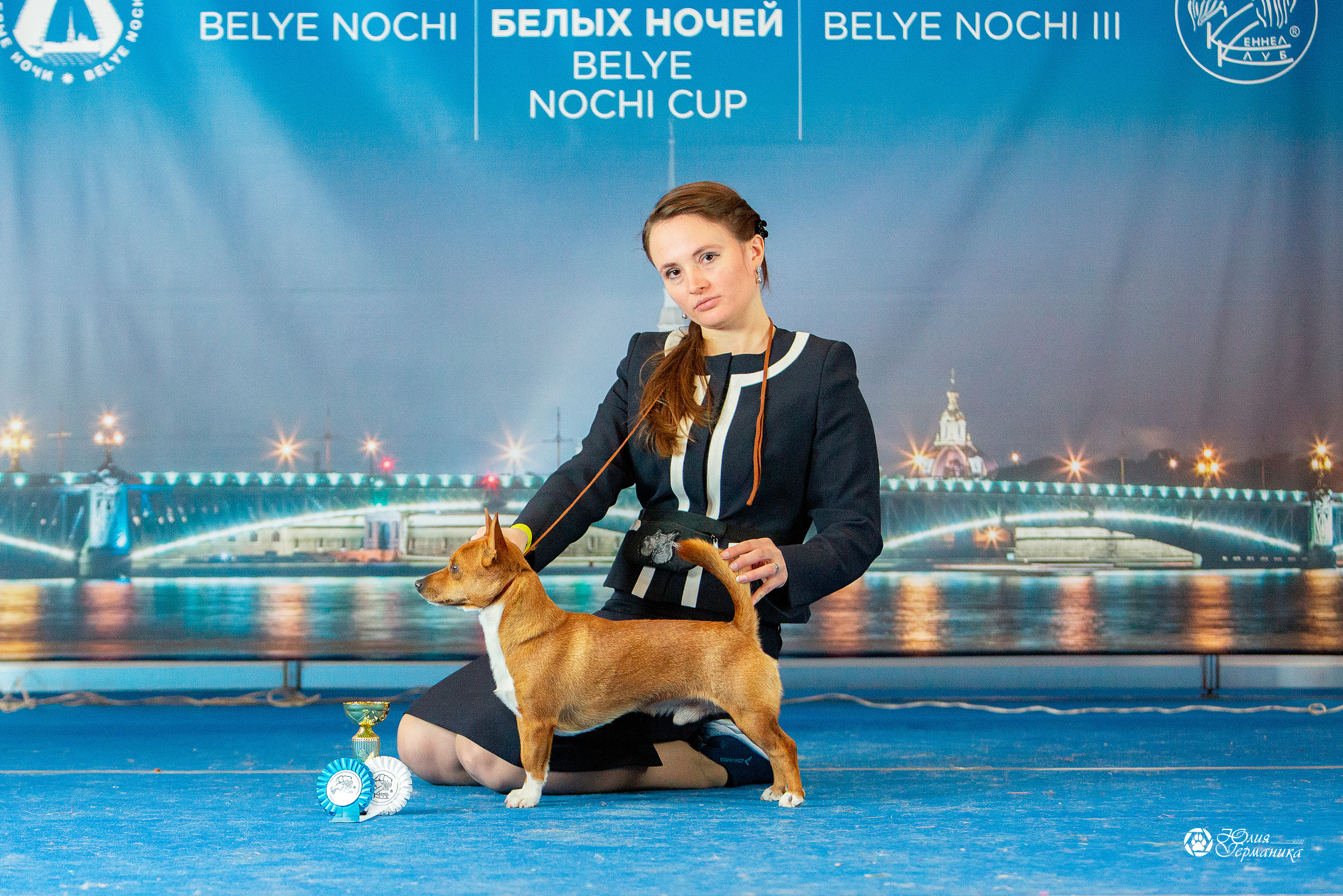 Питер 4 CACIB 22-25 октября 2021. Фотограф-анималист Юлия Германика