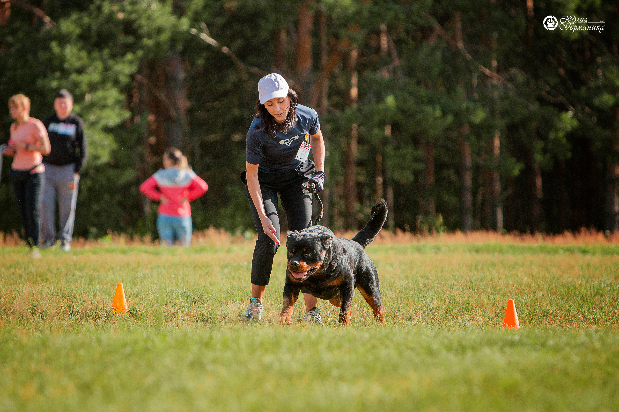 Тверь моно ротвейлеров 3-4 июля 2021. Фотограф-анималист Юлия Германика