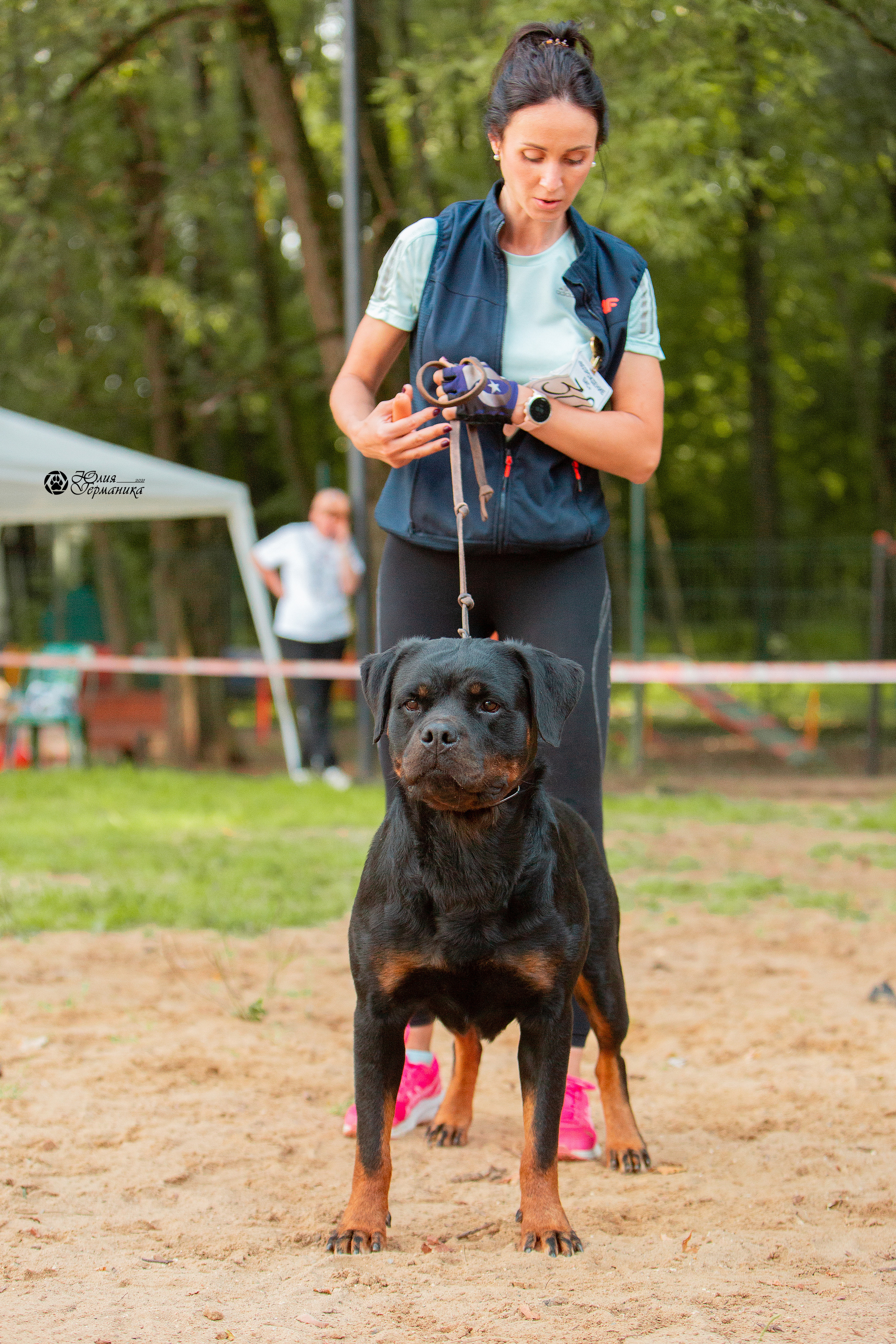 Рязань,Ховрино 14-15 августа 2021 моно ротвейлеров. Фотограф-анималист Юлия Германика