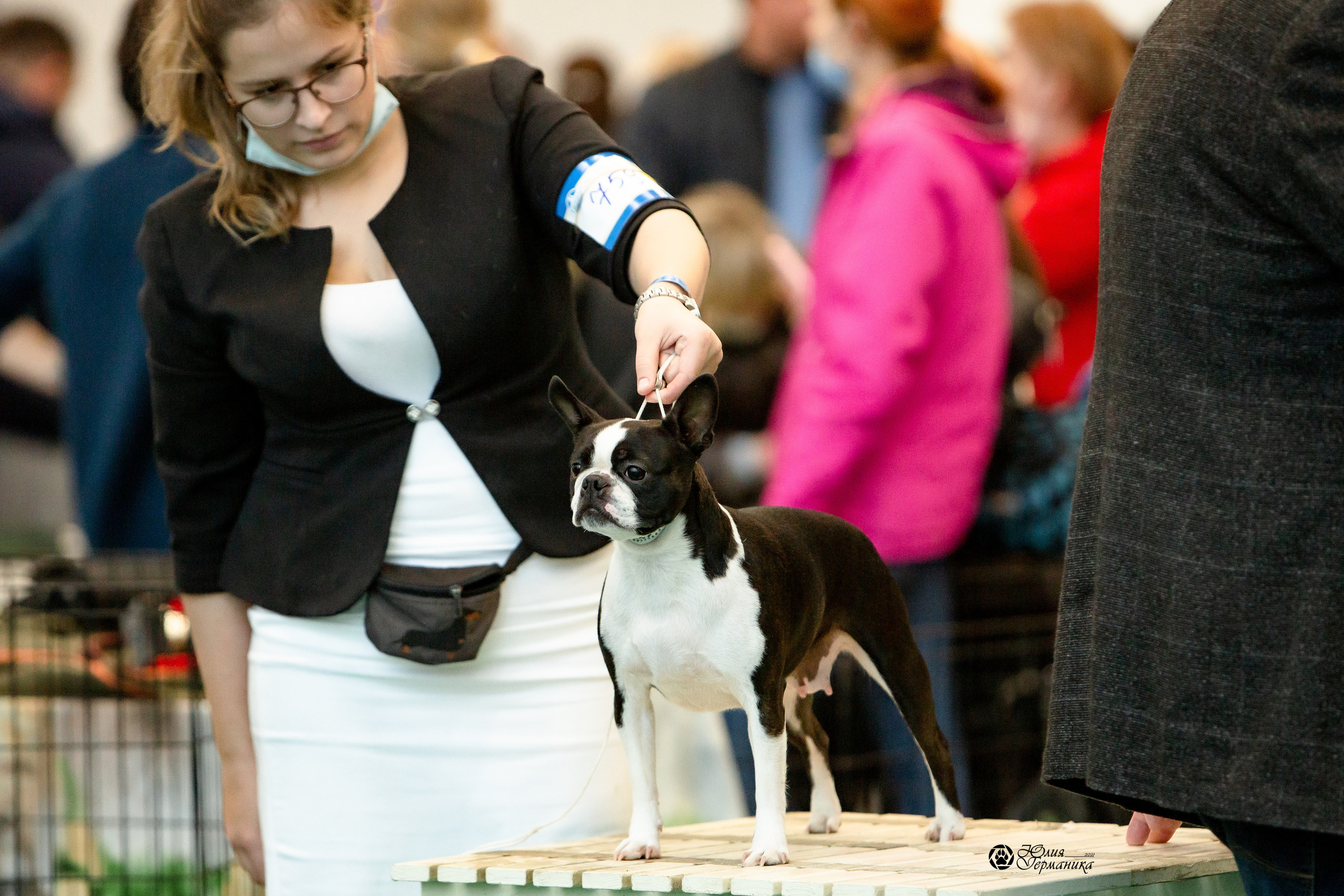 Нижний Новгород 3хCACIB 15-17 октября 2021. Фотограф-анималист Юлия Германика