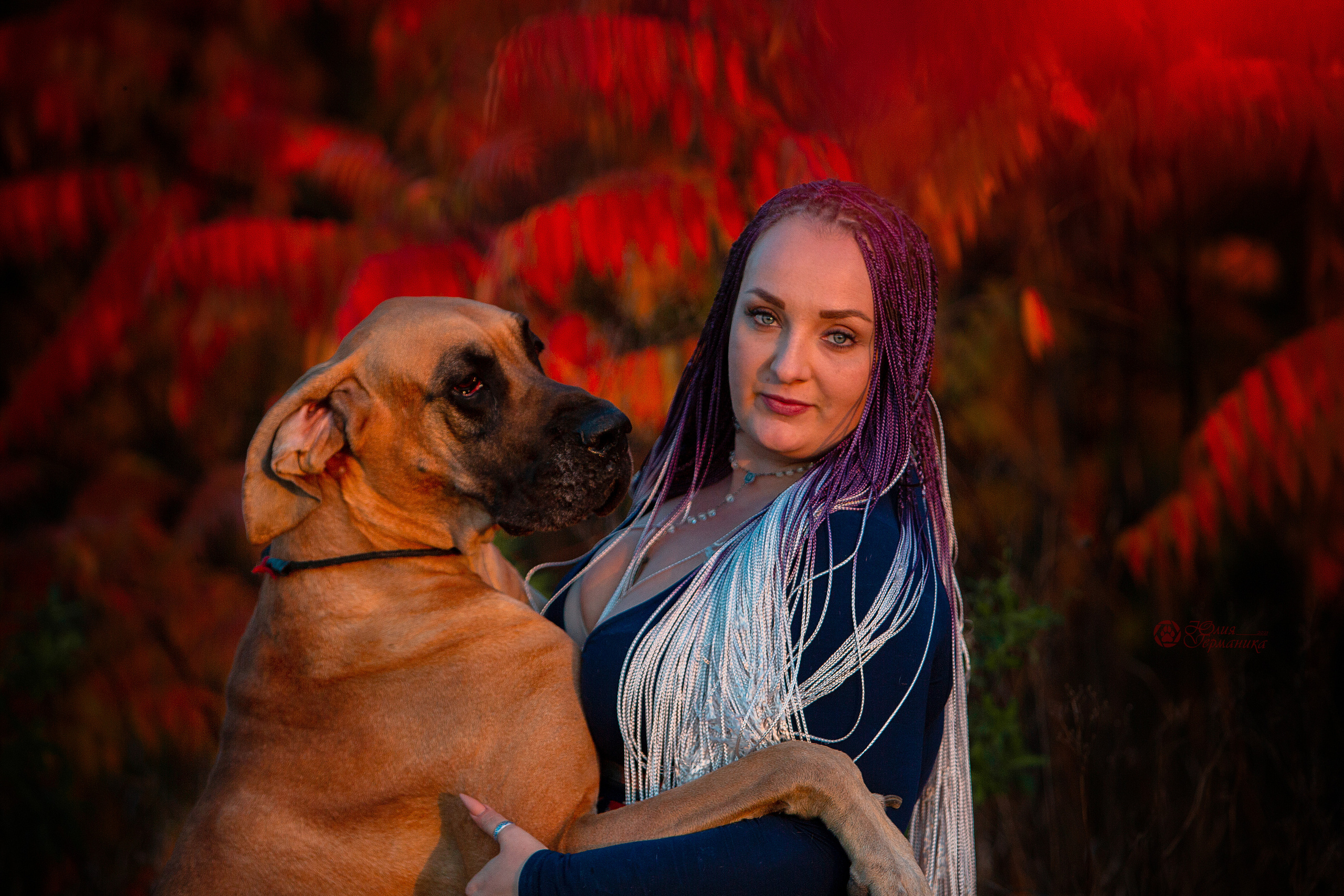 Свободная съемка. Фотограф-анималист Юлия Германика