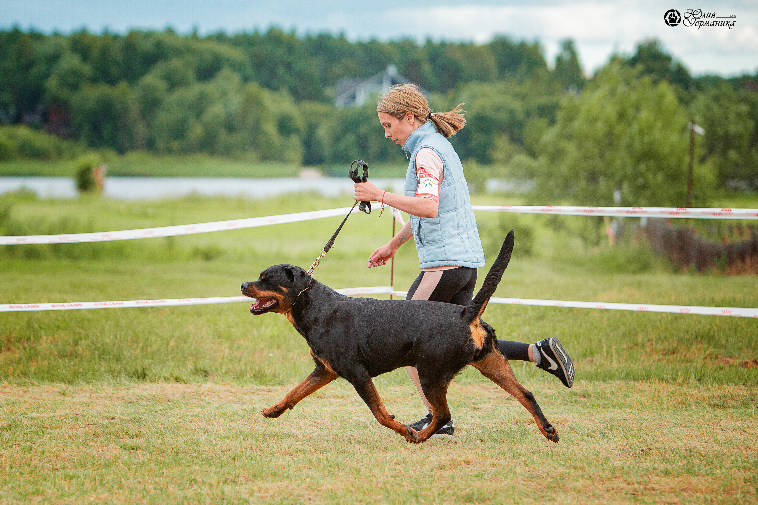 Тверь моно ротвейлеров 3-4 июля 2021. Фотограф-анималист Юлия Германика