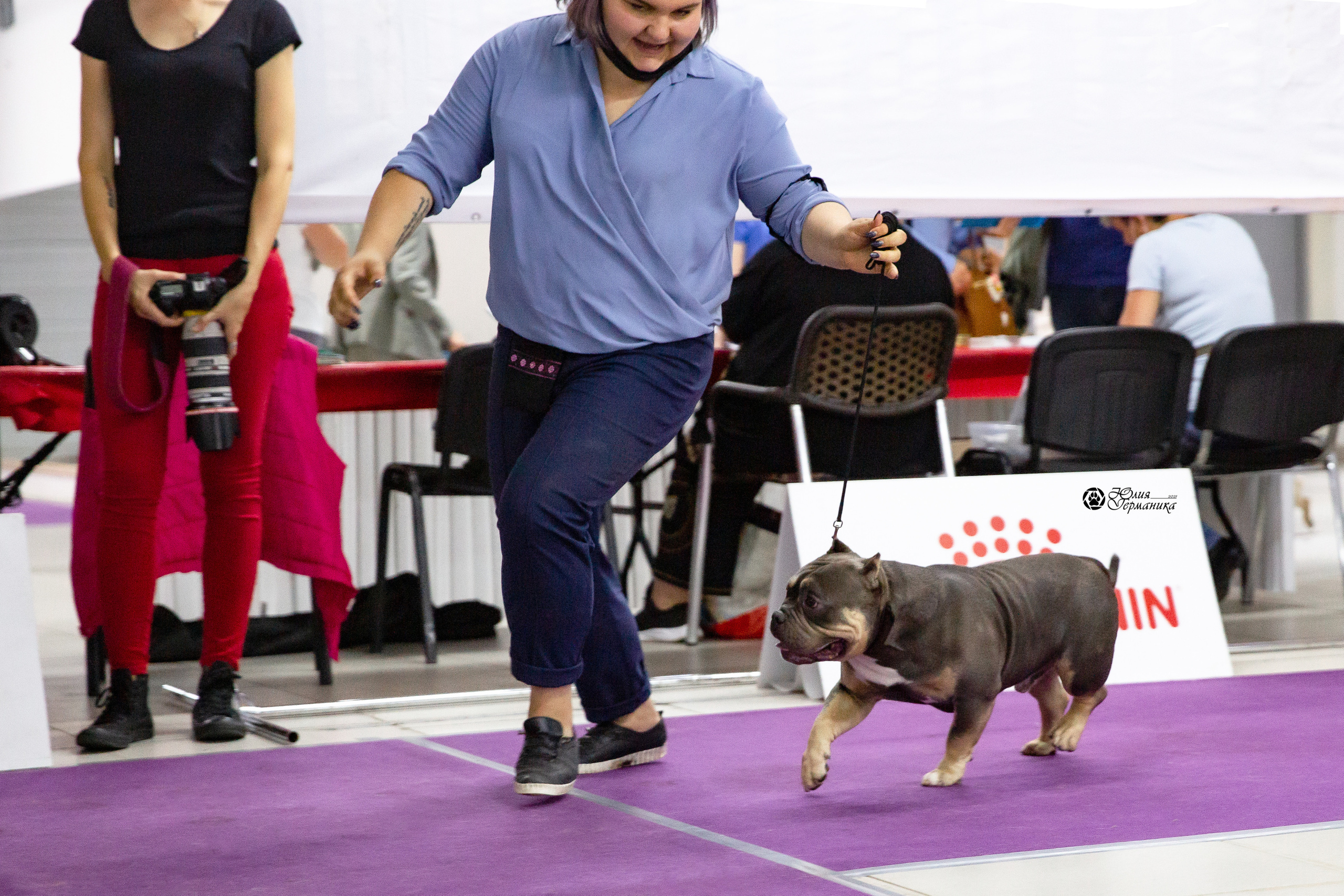 Чайна-Таун 2021. Фотограф-анималист Юлия Германика