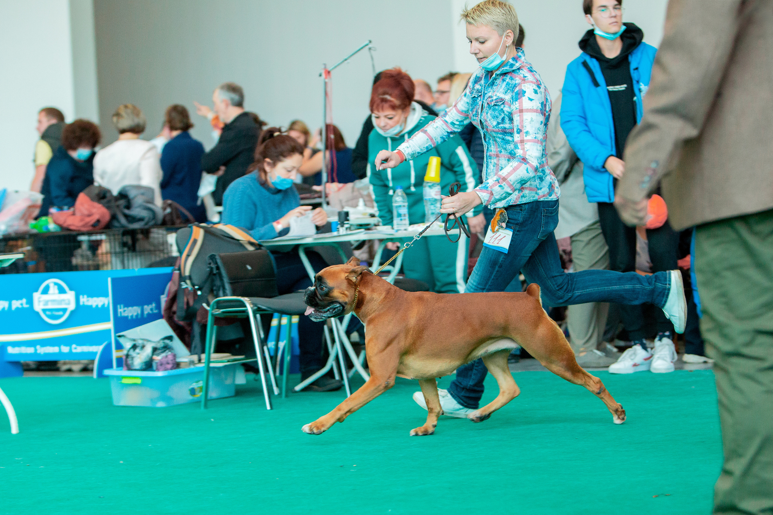 Нижний Новгород 3хCACIB 15-17 октября 2021. Фотограф-анималист Юлия Германика