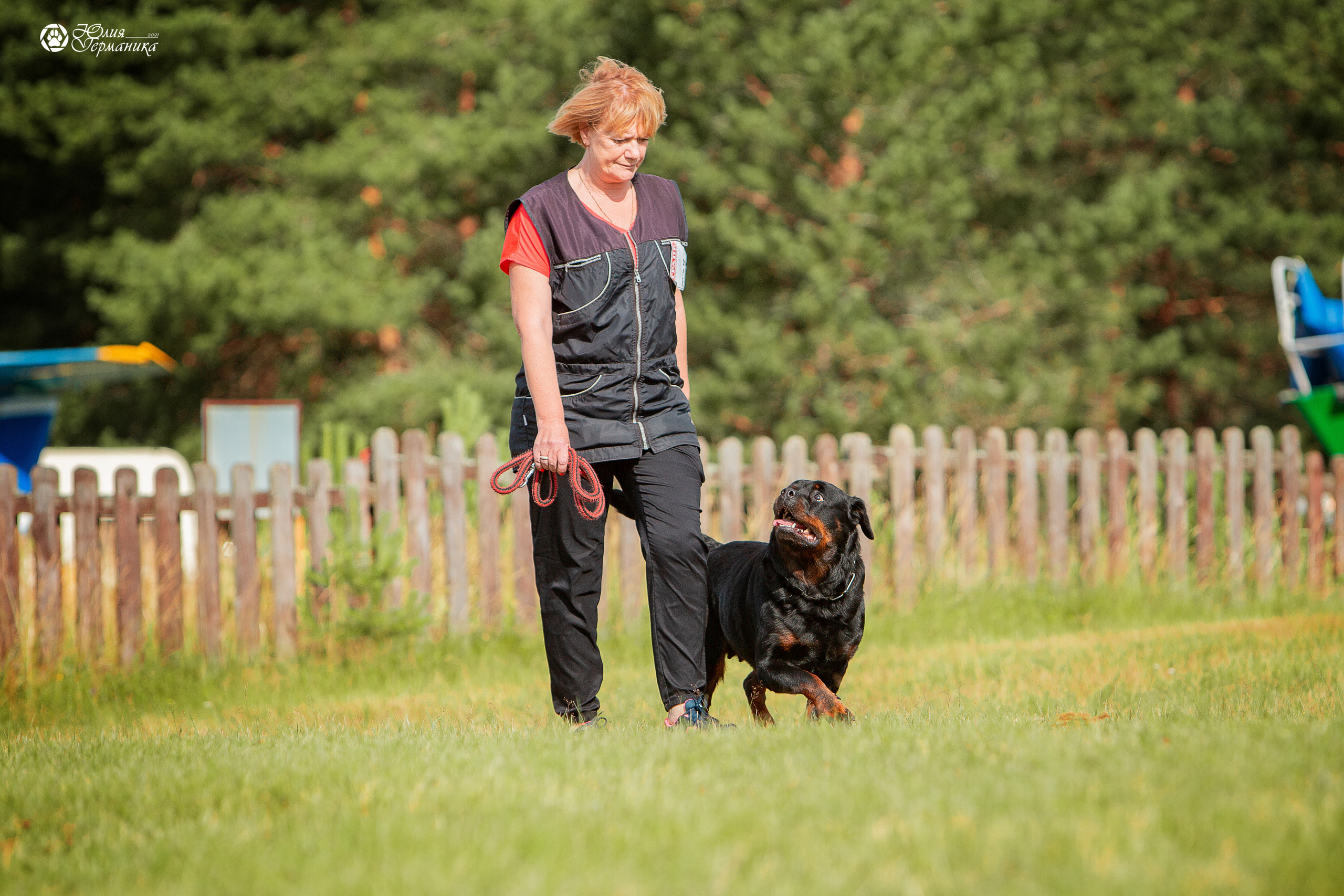Тверь моно ротвейлеров 3-4 июля 2021. Фотограф-анималист Юлия Германика