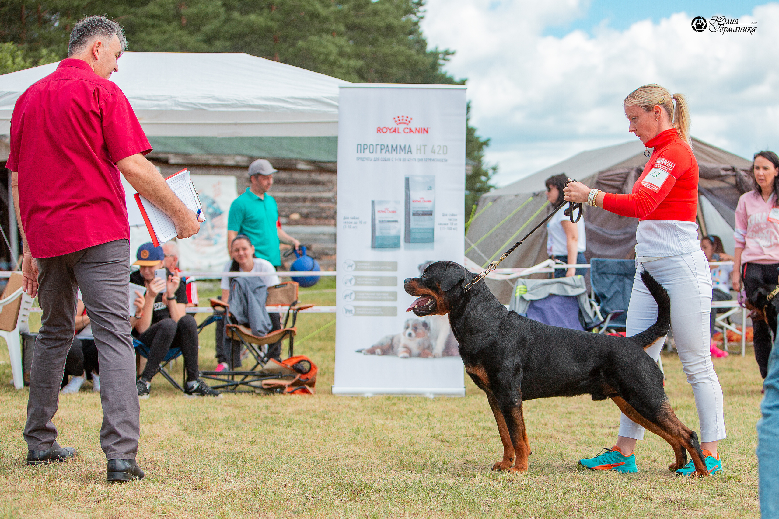 Тверь моно ротвейлеров 3-4 июля 2021. Фотограф-анималист Юлия Германика