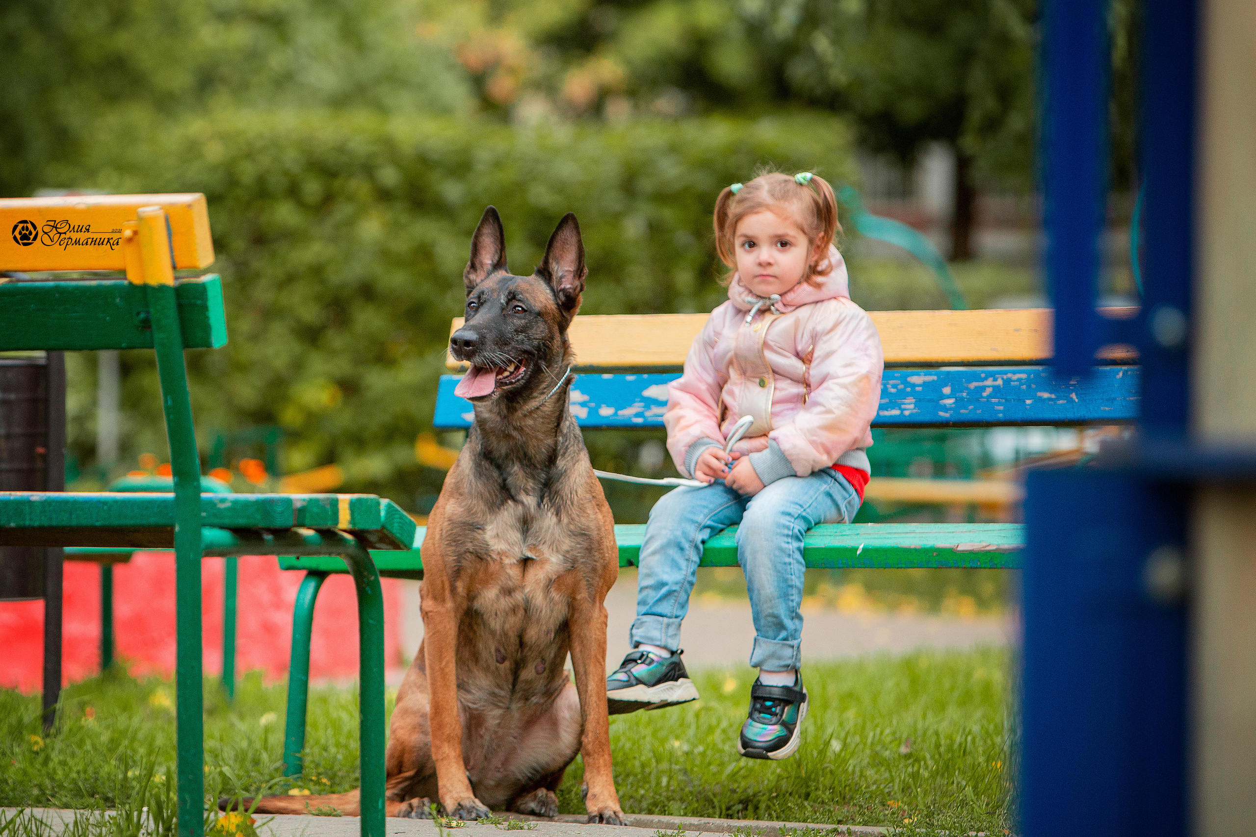 Свободная съемка. Фотограф-анималист Юлия Германика