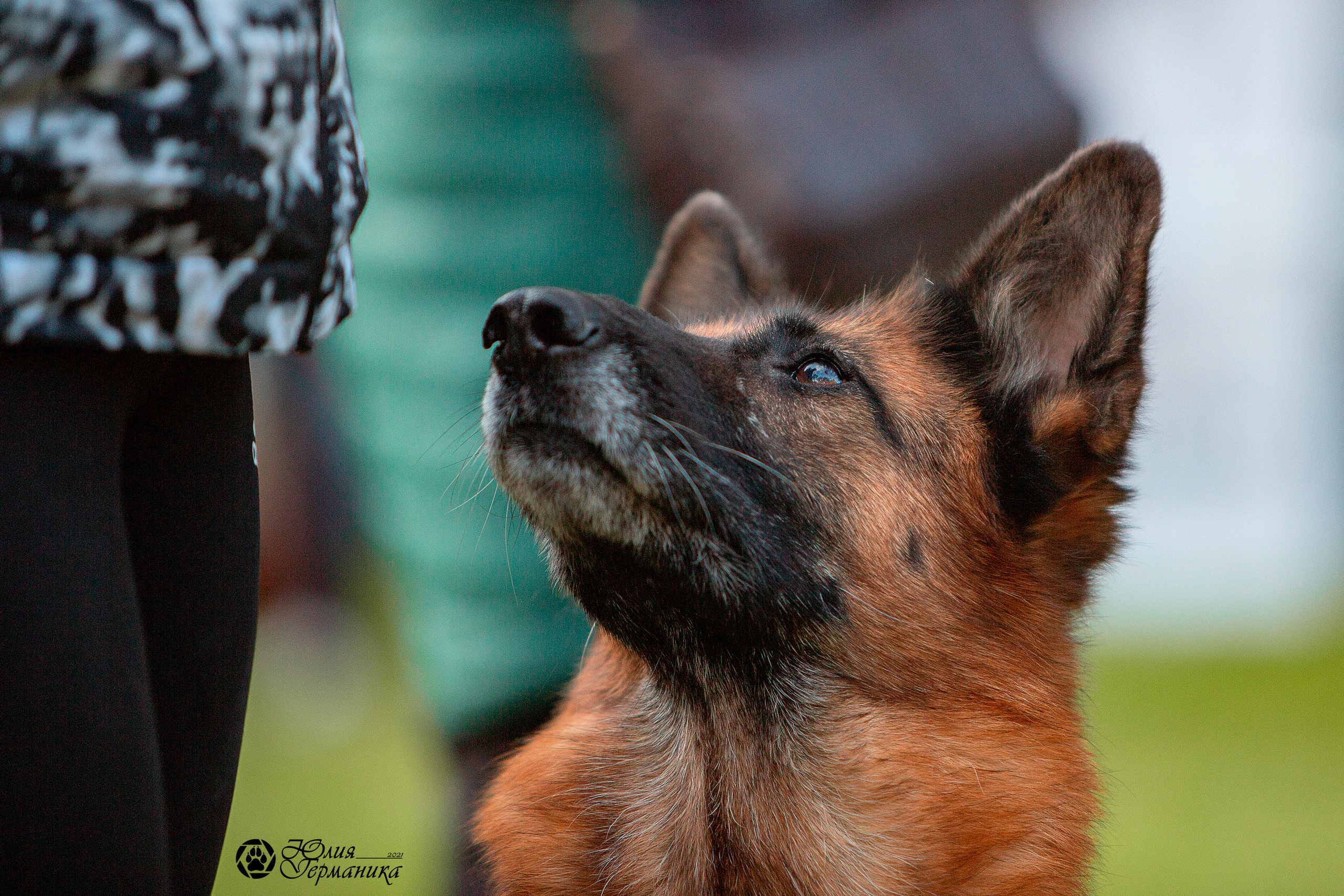 Псков 2xСАСIB 18-19 сентября 2021