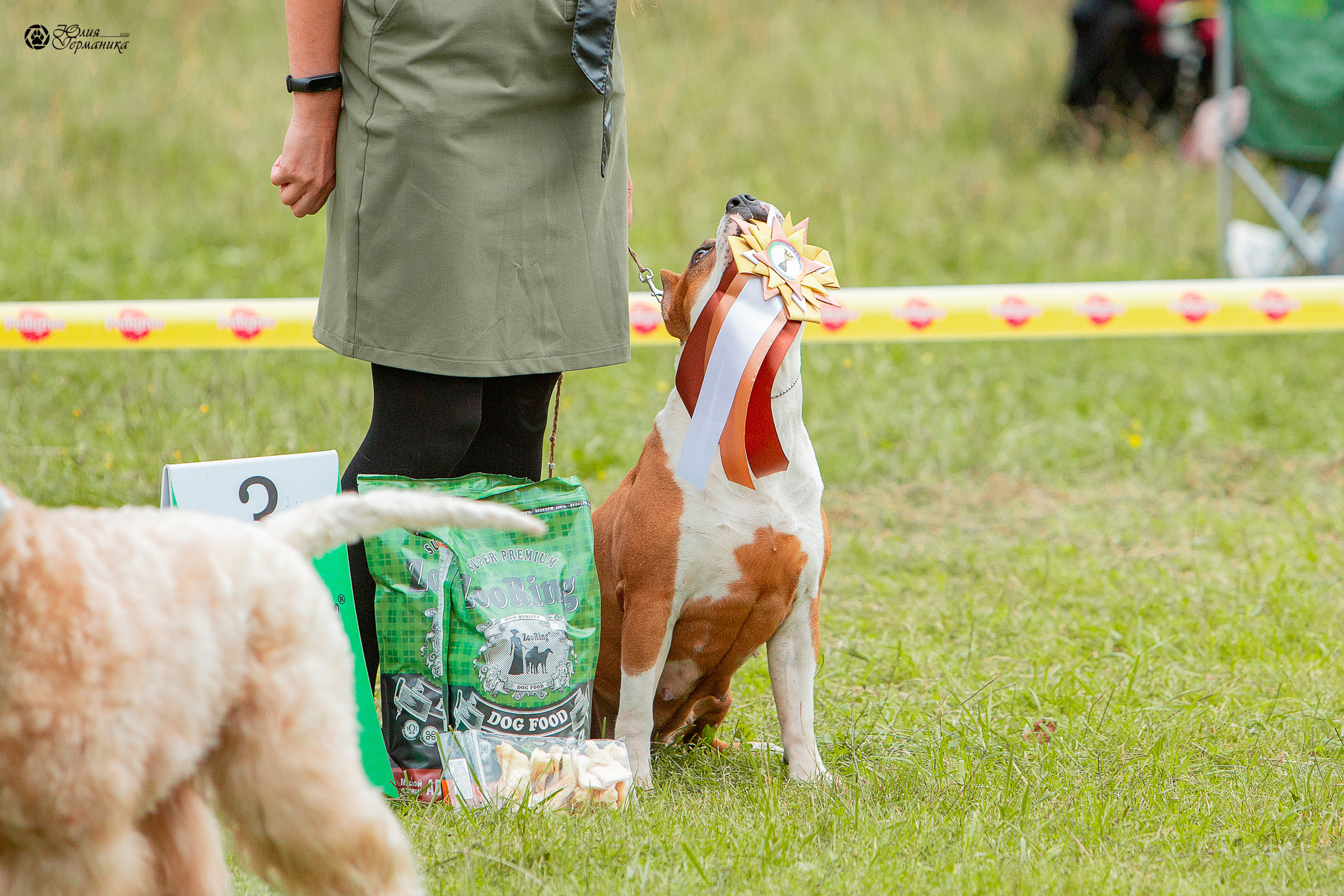 Пушкино 3хCAC 21 августа 2021. Фотограф-анималист Юлия Германика