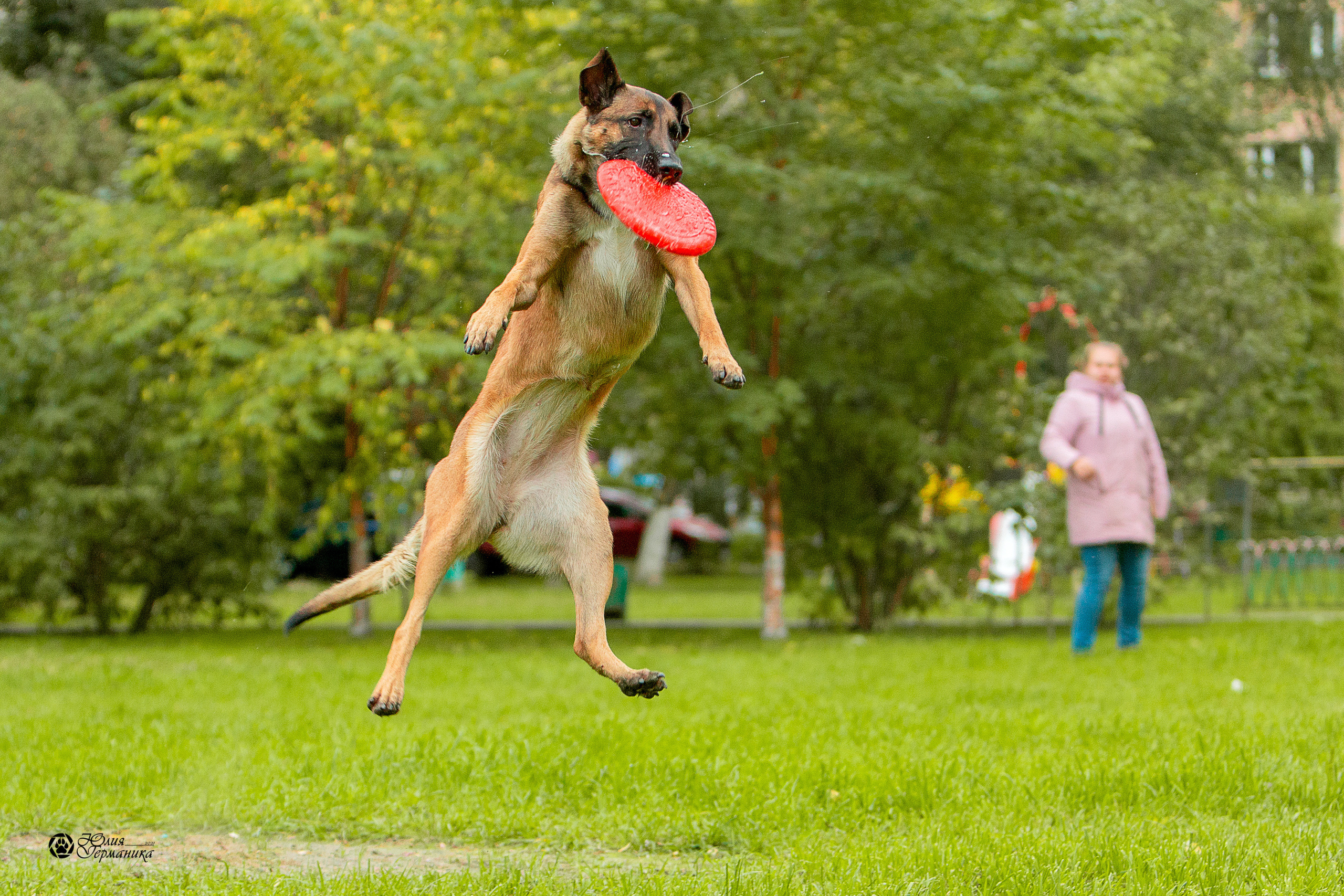 Свободная съемка. Фотограф-анималист Юлия Германика