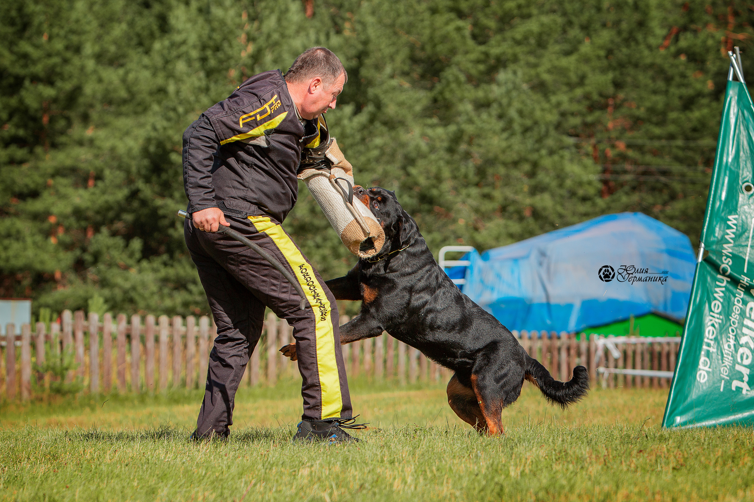 Тверь моно ротвейлеров 3-4 июля 2021. Фотограф-анималист Юлия Германика
