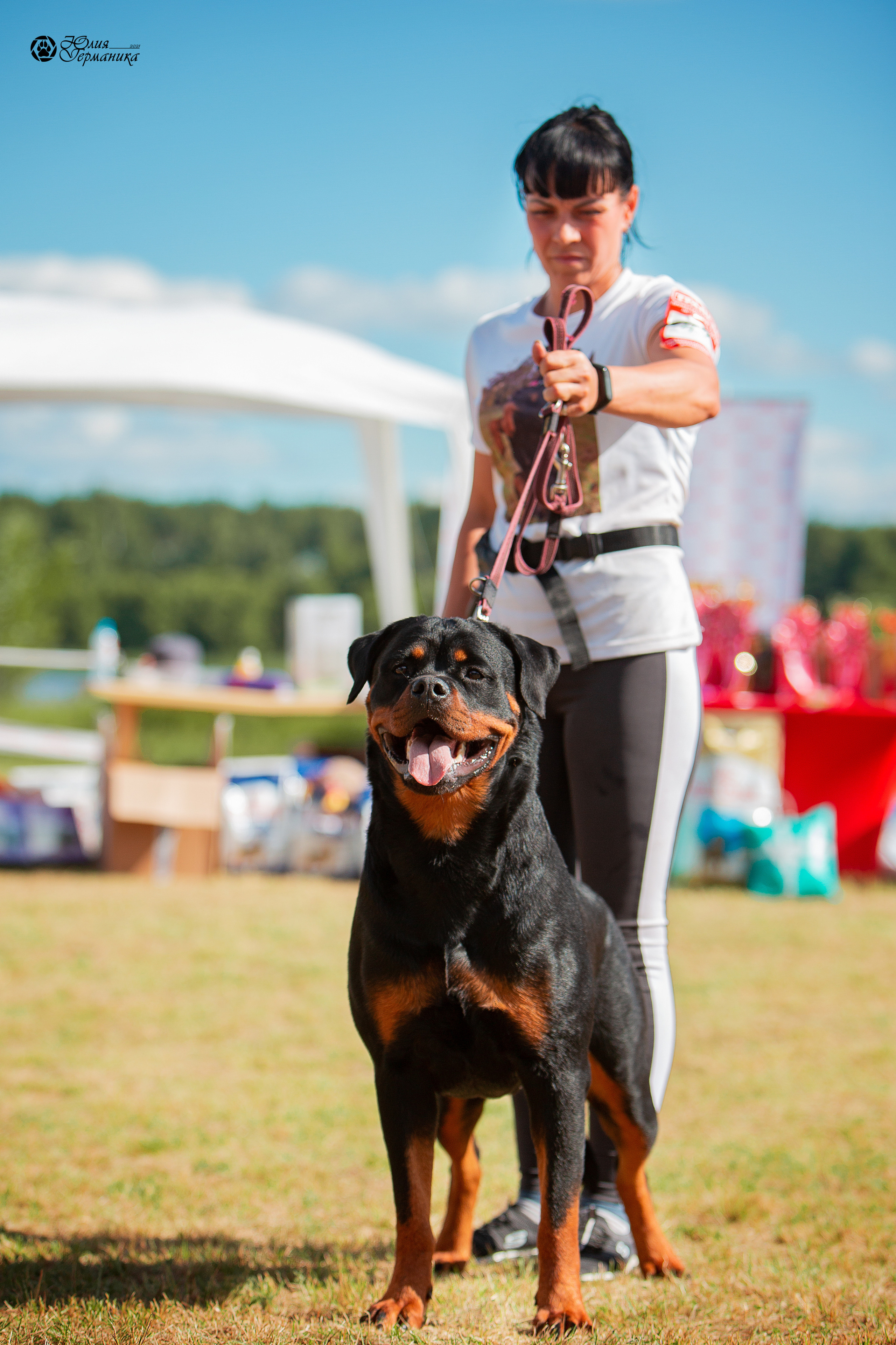 Тверь моно ротвейлеров 3-4 июля 2021. Фотограф-анималист Юлия Германика