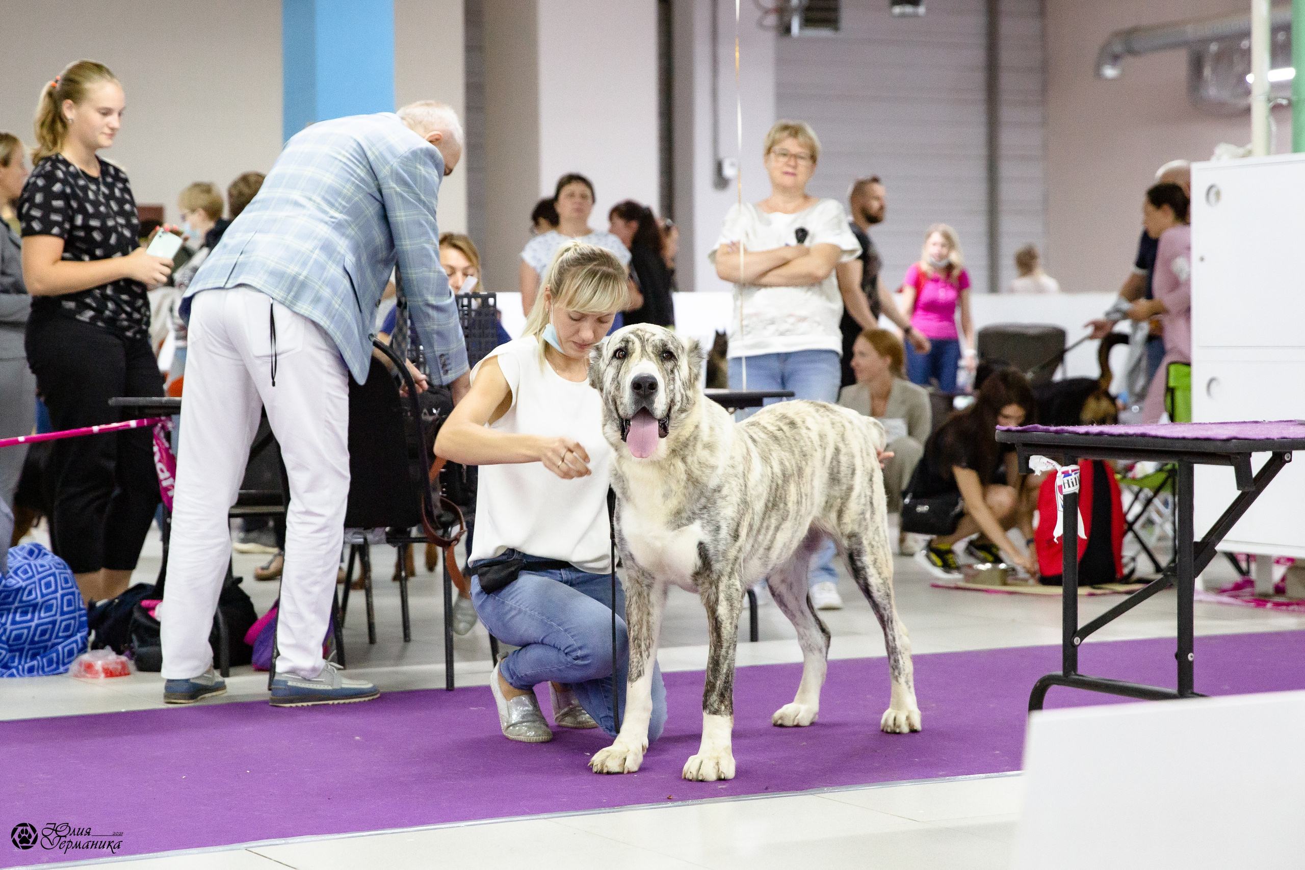 Чайна-Таун 2021. Фотограф-анималист Юлия Германика