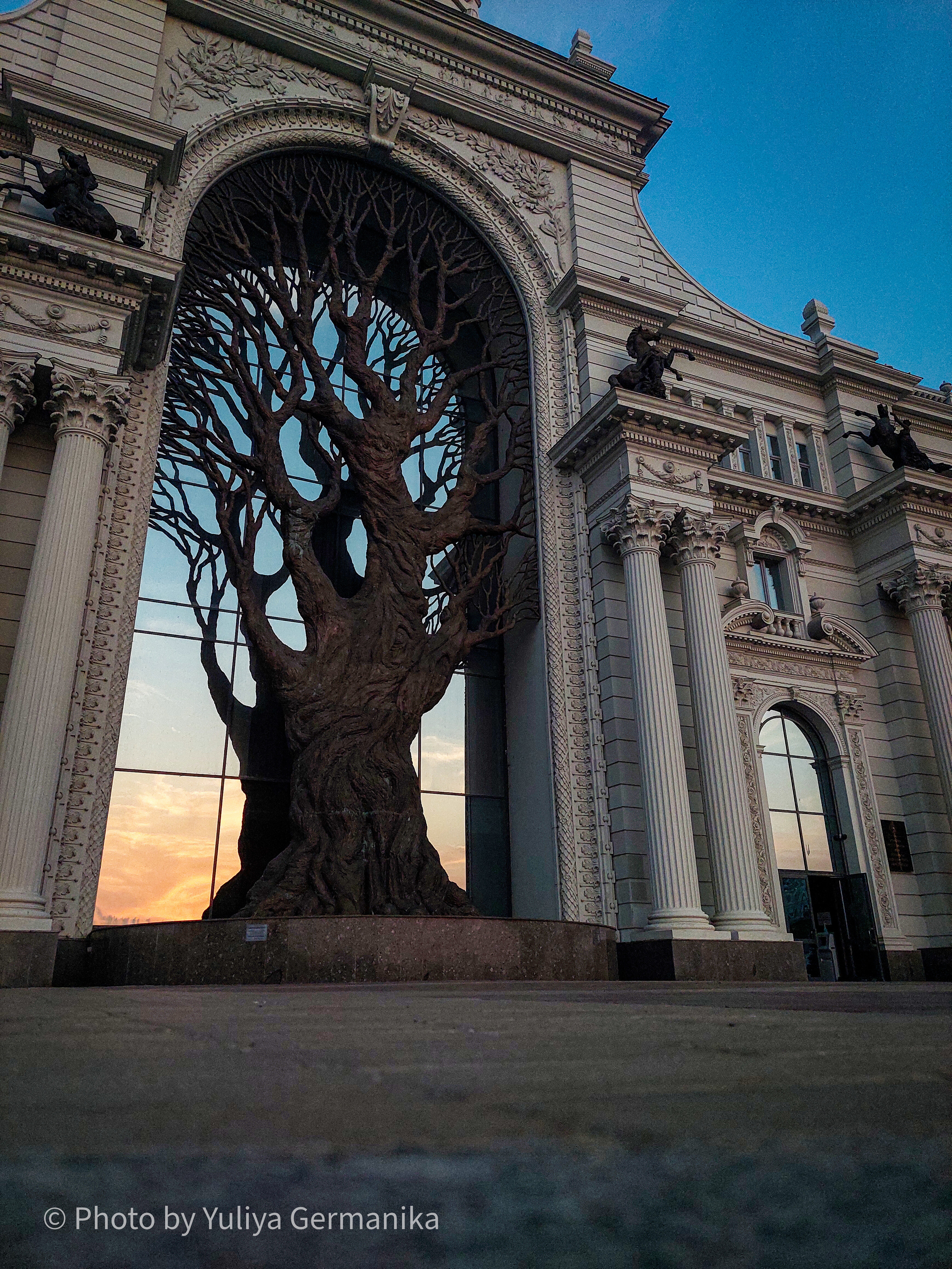 Разные фото на телефон.Города,природа. Фотограф-анималист Юлия Германика