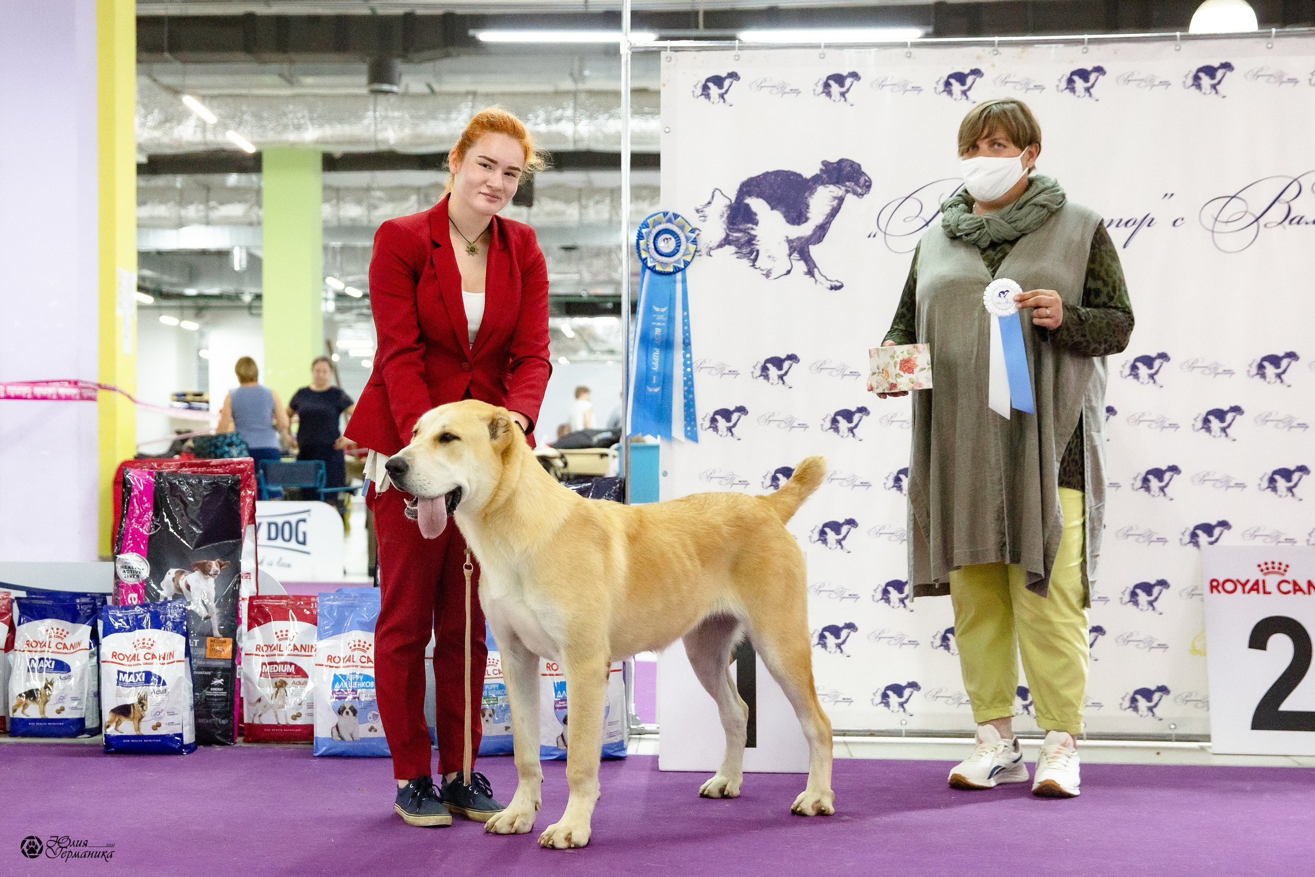 Чайна-Таун 2021. Фотограф-анималист Юлия Германика