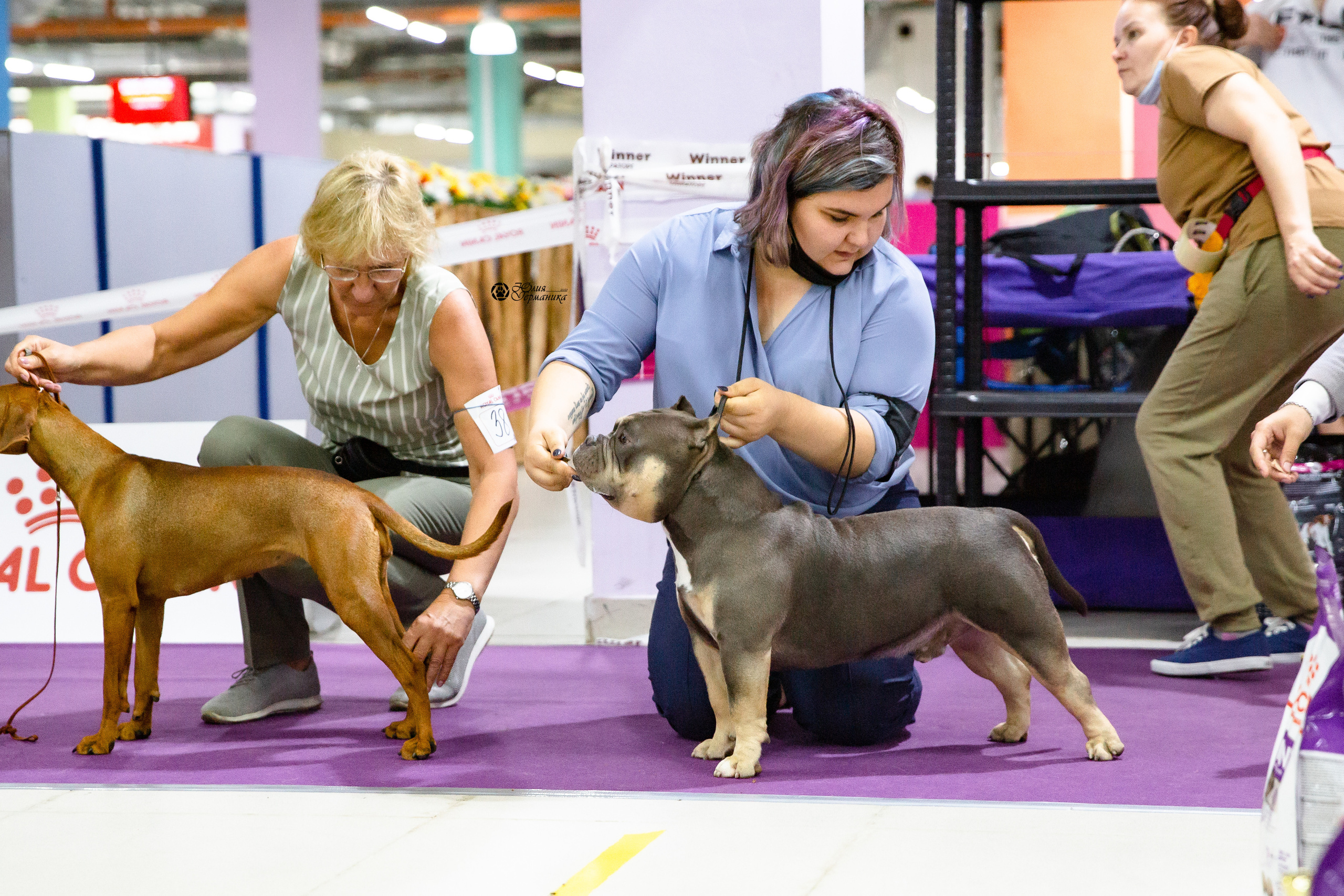 Чайна-Таун 2021. Фотограф-анималист Юлия Германика