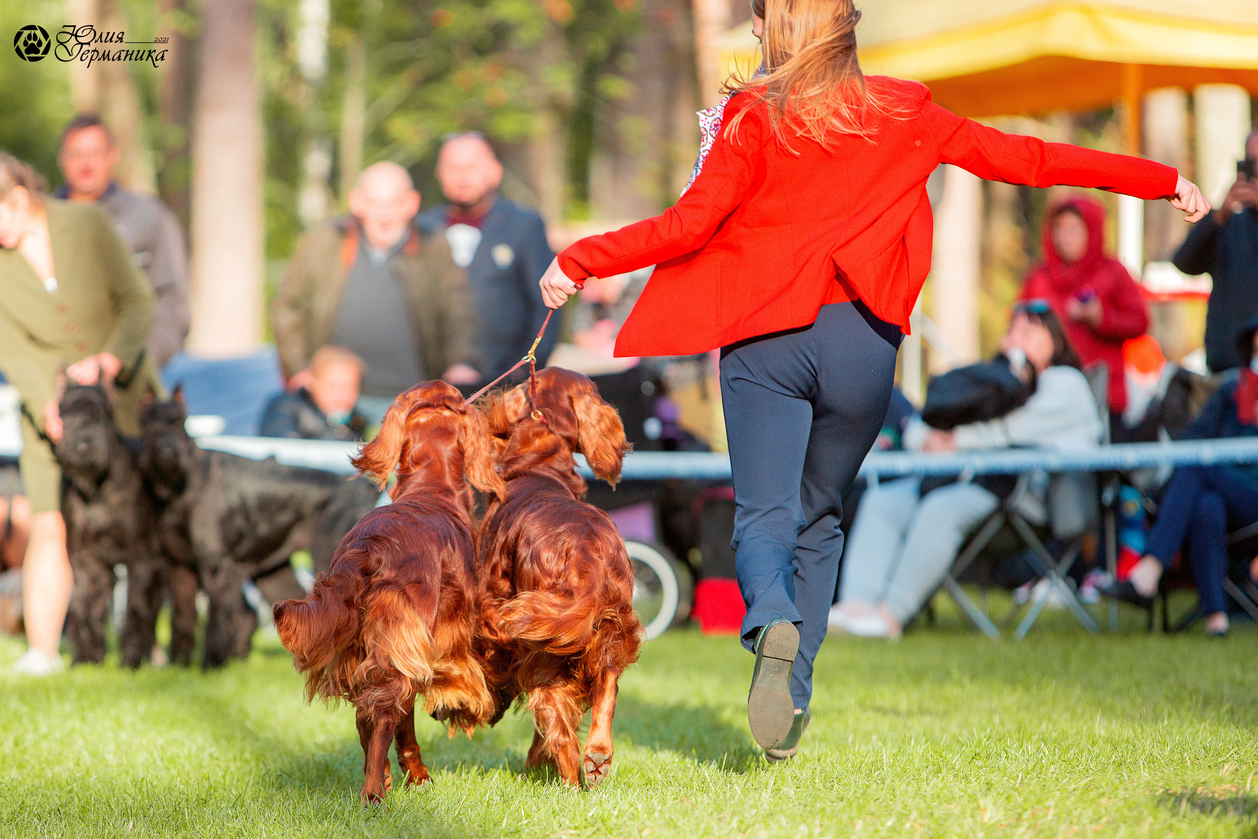 Псков 2xСАСIB 18-19 сентября 2021. Фотограф-анималист Юлия Германика