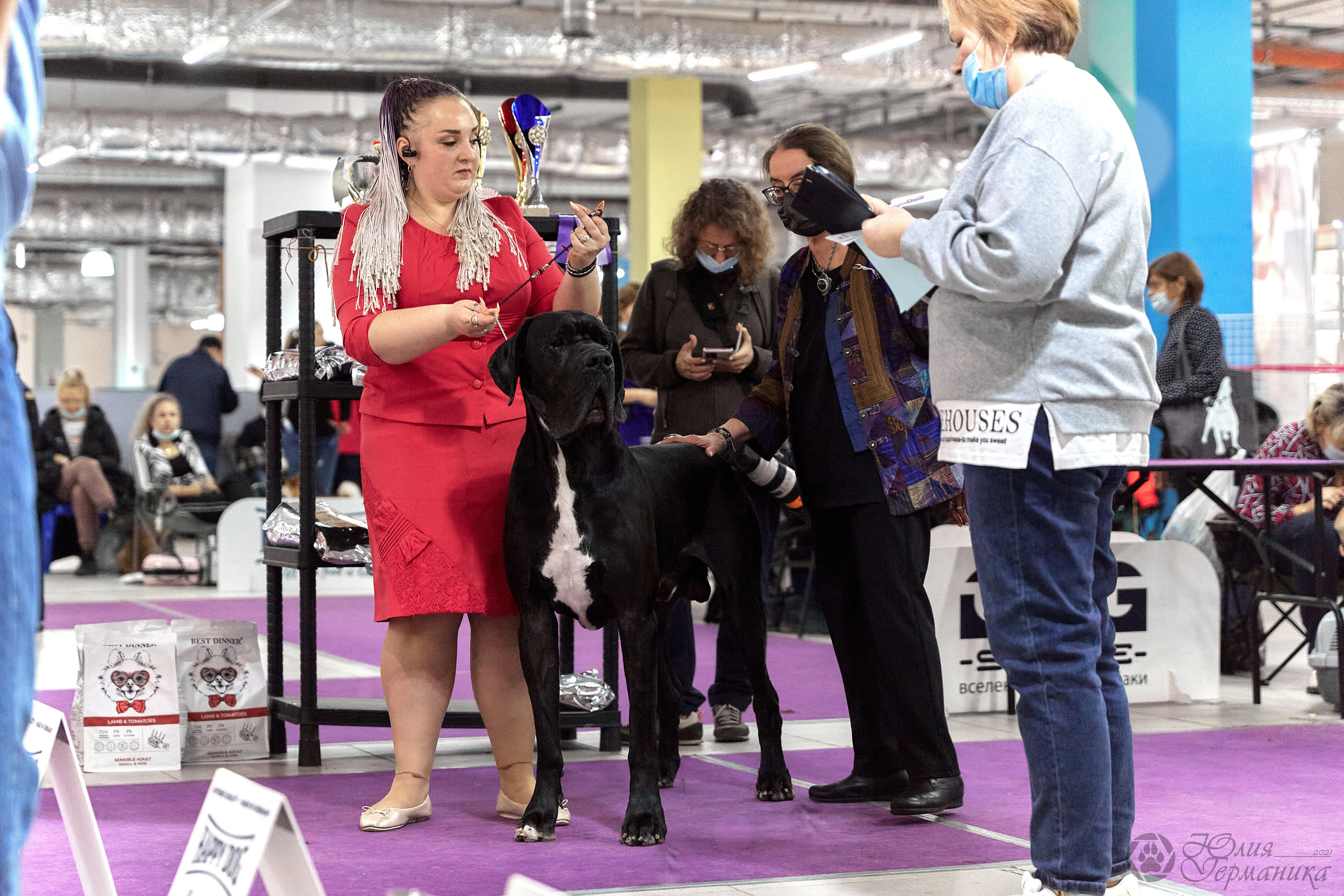 Чайник  13-14 ноября 2021. Фотограф-анималист Юлия Германика