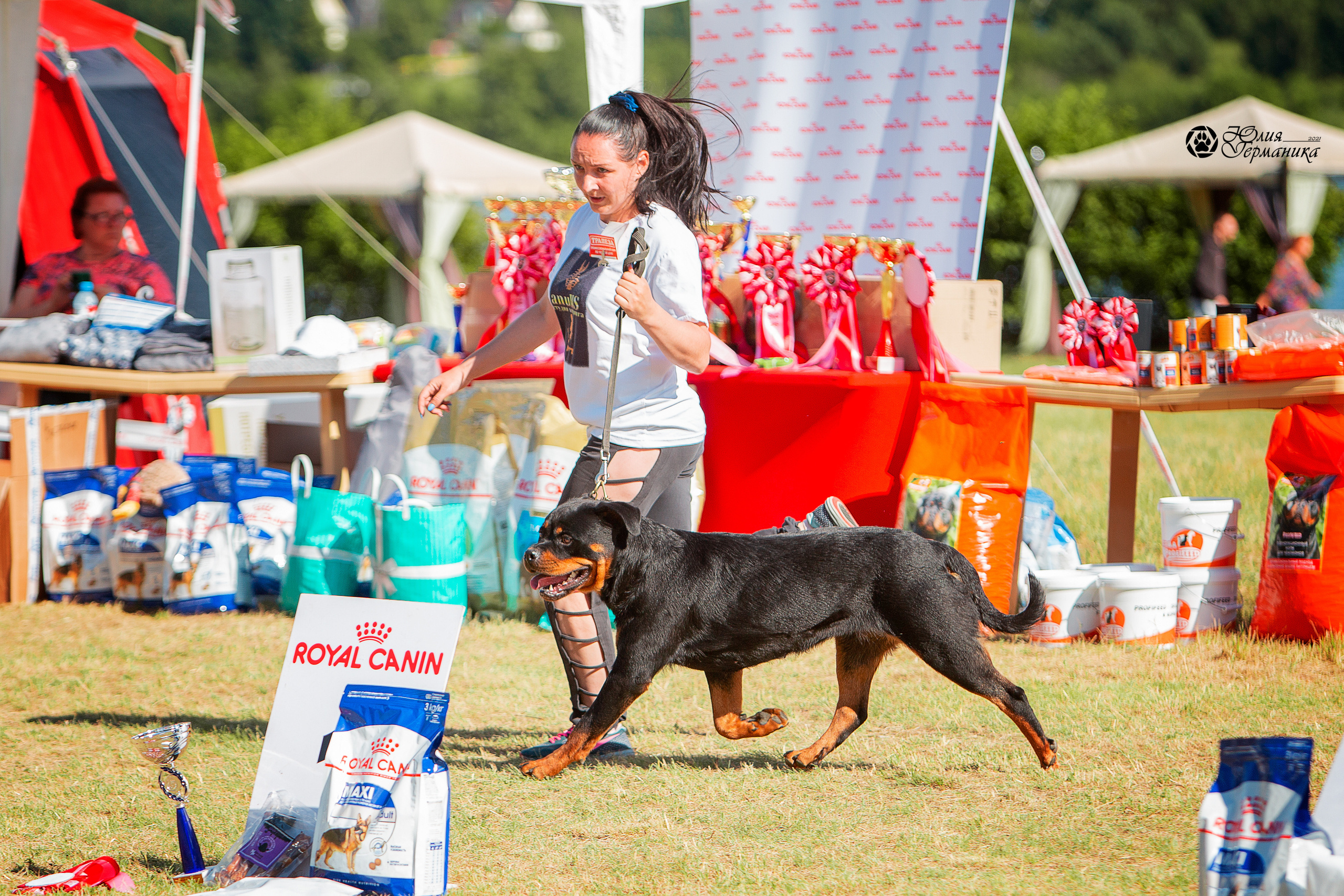 Тверь моно ротвейлеров 3-4 июля 2021. Фотограф-анималист Юлия Германика
