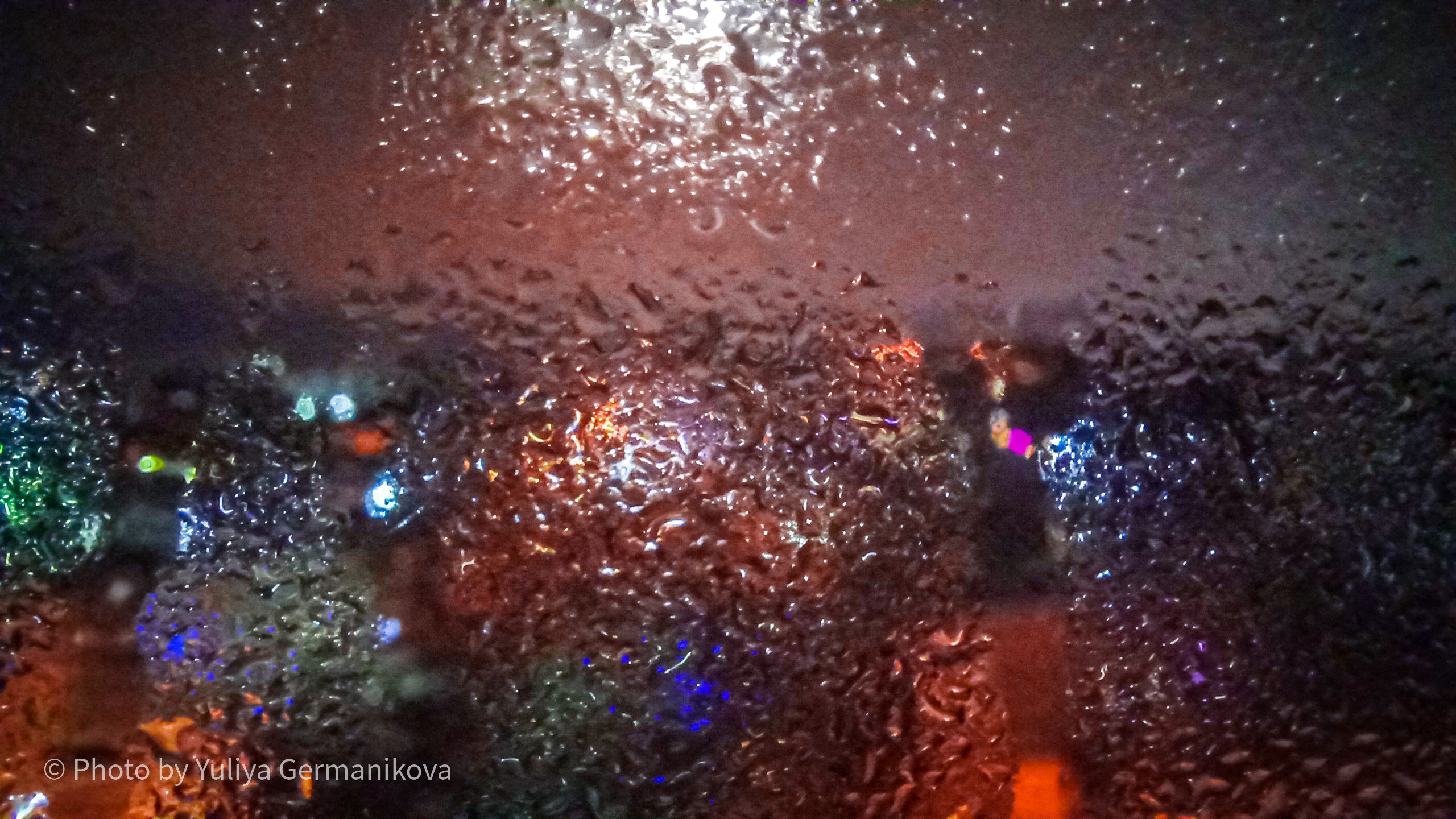 Разные фото на телефон.Города,природа. Фотограф-анималист Юлия Германика