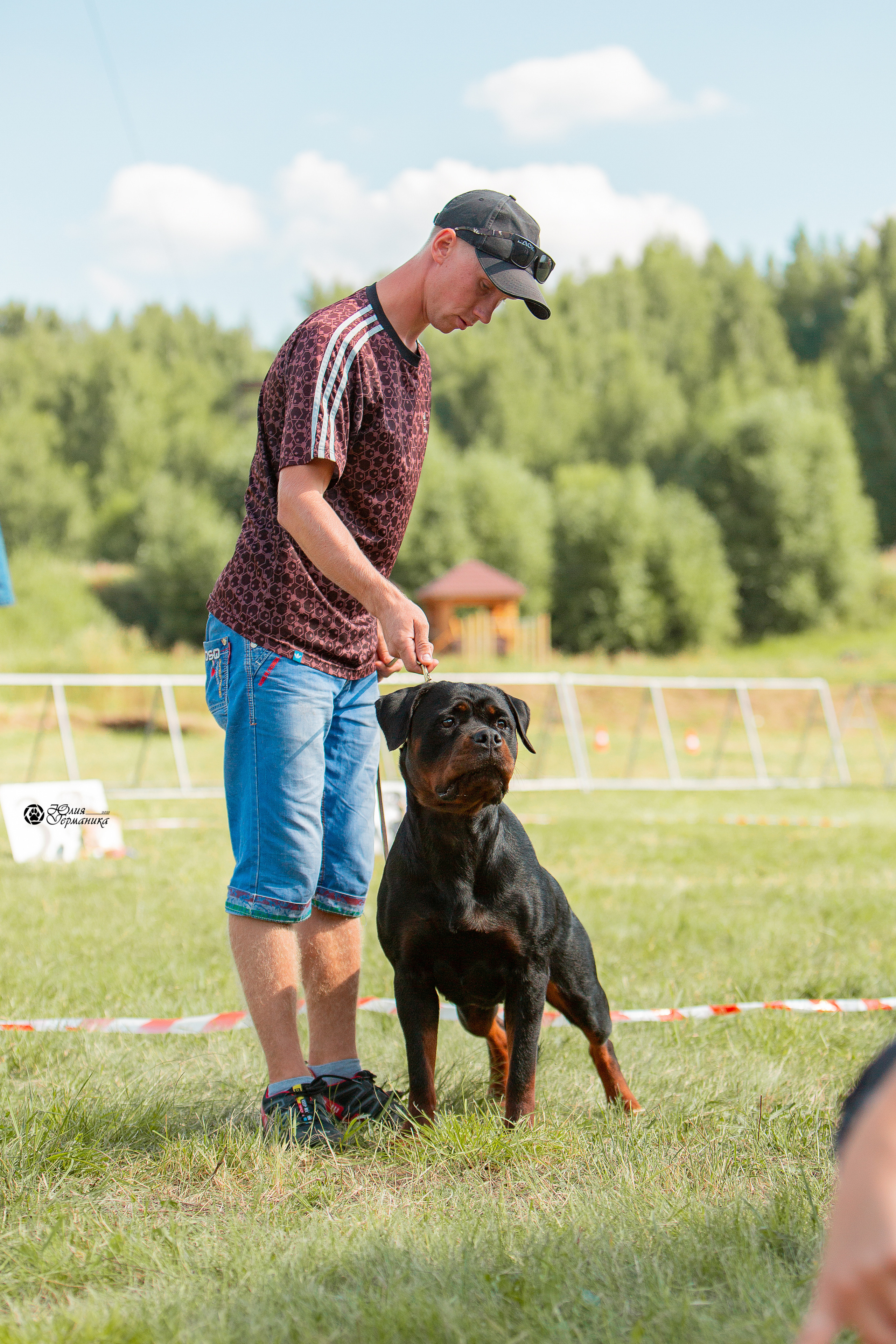 Рязань,Ховрино 14-15 августа 2021 моно ротвейлеров. Фотограф-анималист Юлия Германика