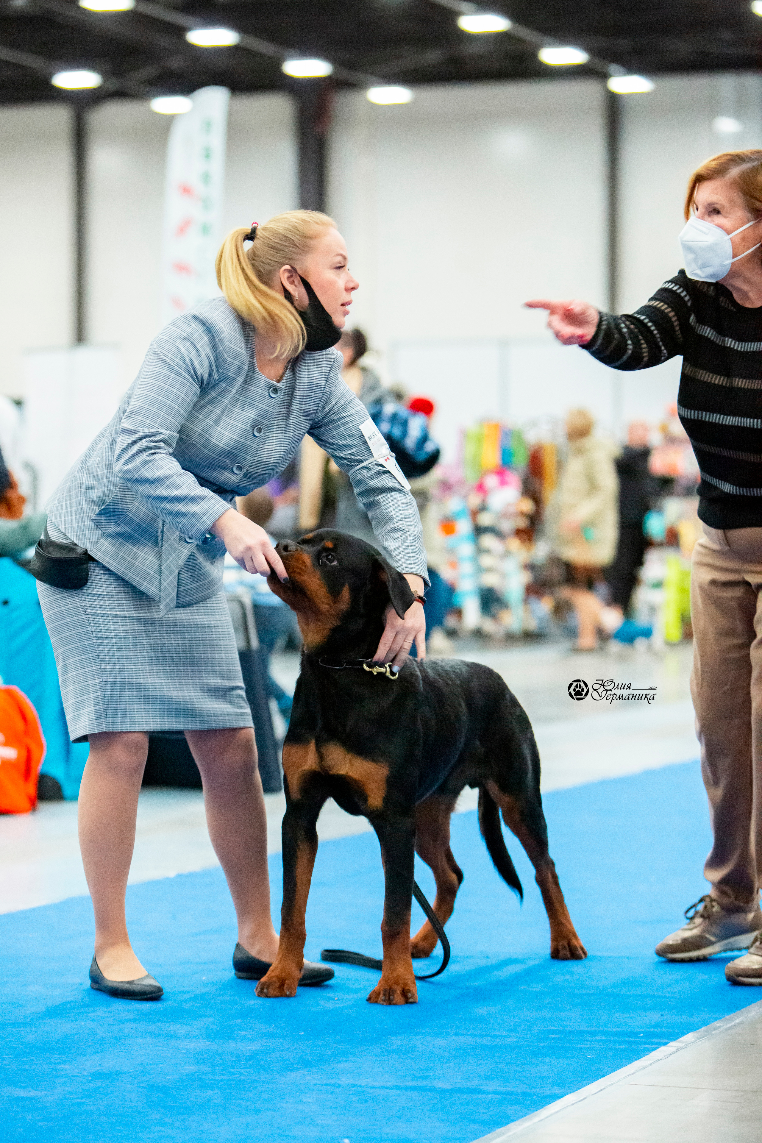 Санкт-Петербург 3хCACIB 10-12 декабря 2021. Фотограф-анималист Юлия Германика