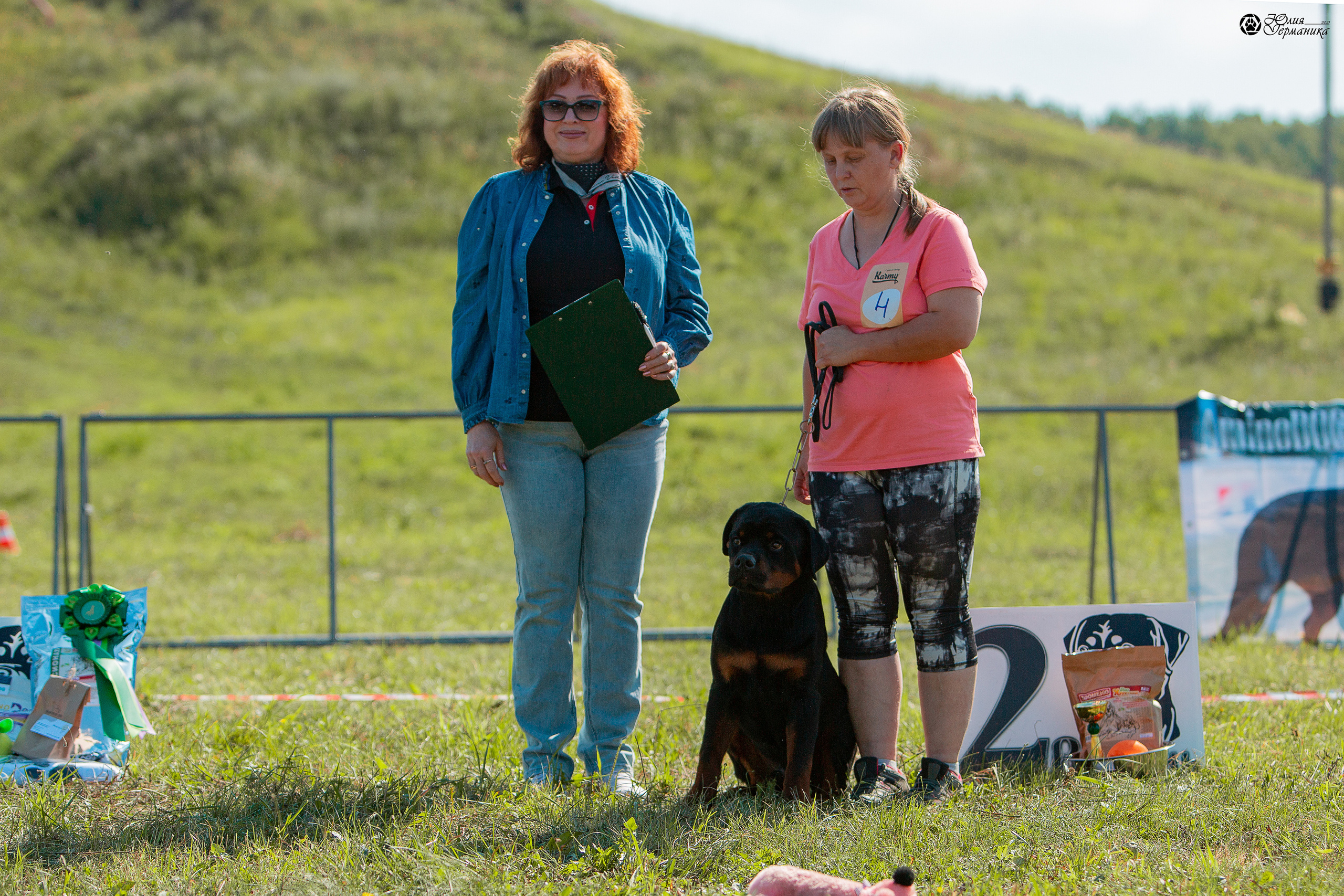 Рязань,Ховрино 14-15 августа 2021 моно ротвейлеров. Фотограф-анималист Юлия Германика