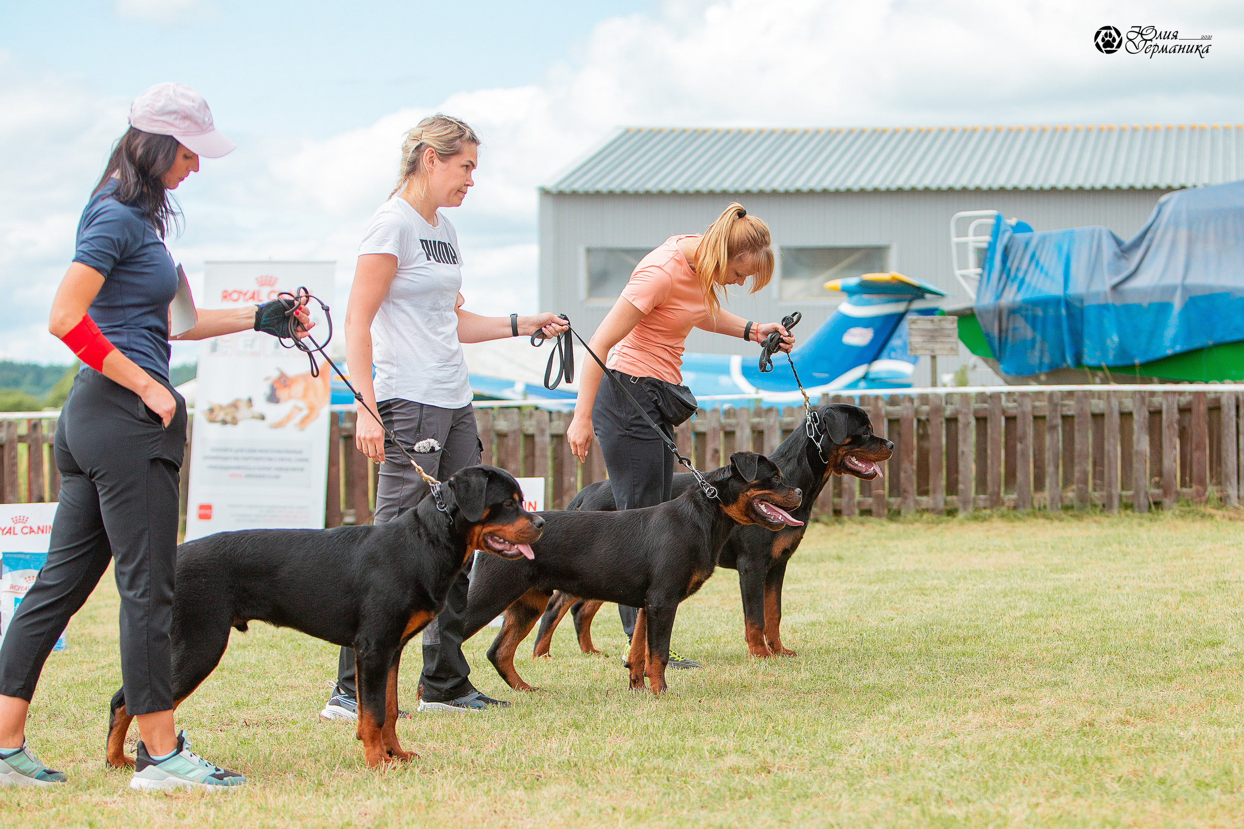 Тверь моно ротвейлеров 3-4 июля 2021. Фотограф-анималист Юлия Германика