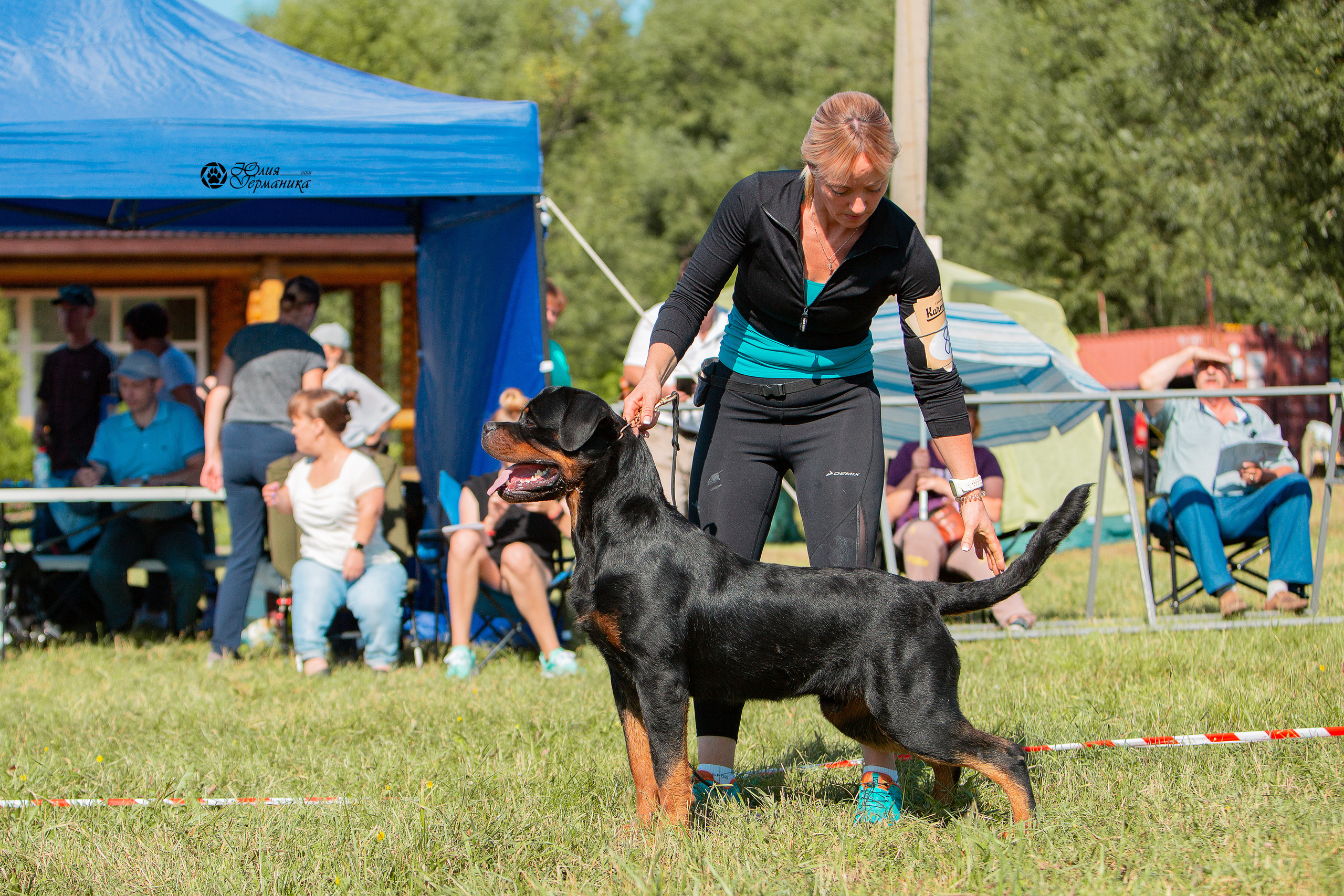 Рязань,Ховрино 14-15 августа 2021 моно ротвейлеров. Фотограф-анималист Юлия Германика
