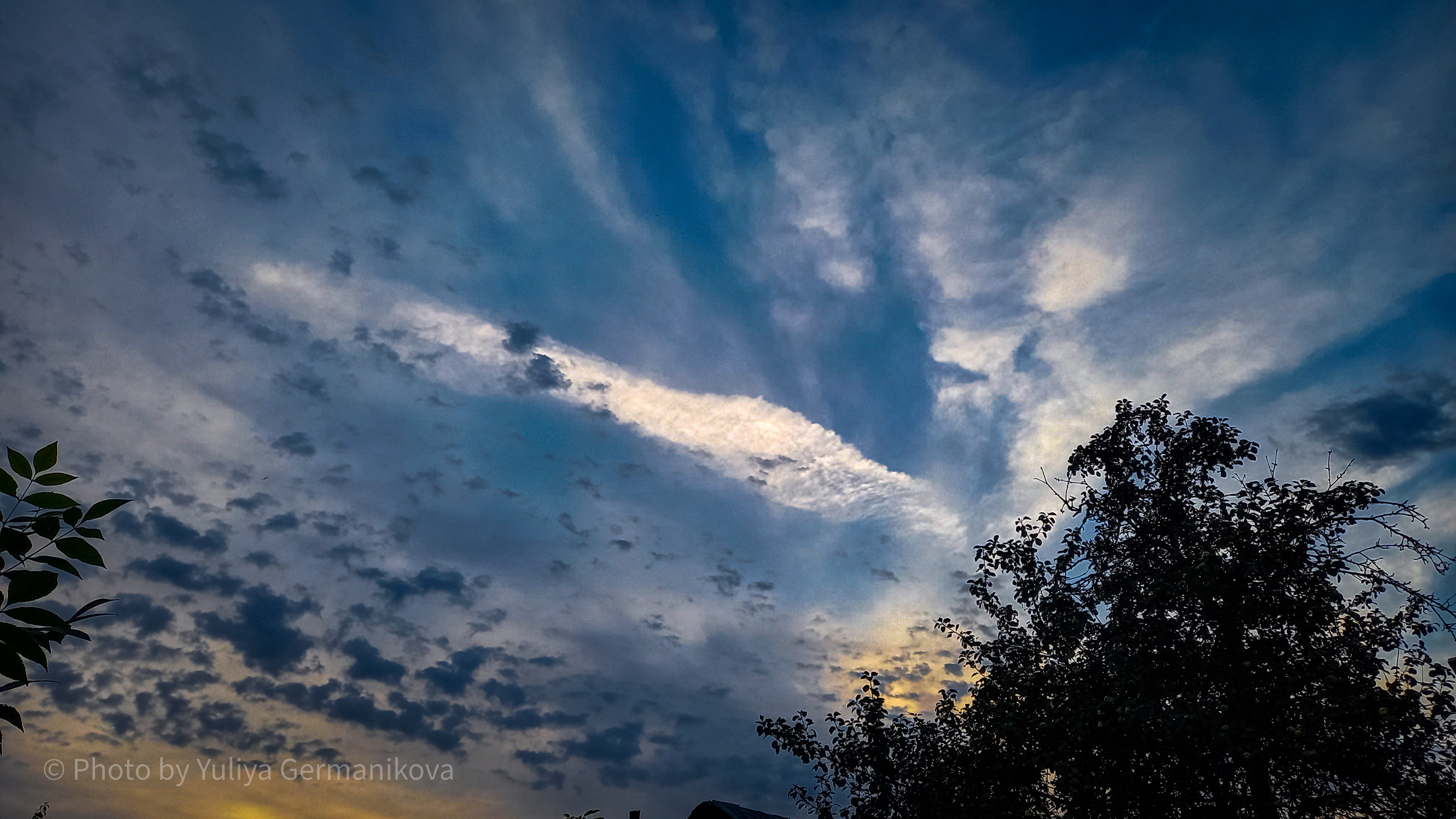 Разные фото на телефон.Города,природа. Фотограф-анималист Юлия Германика