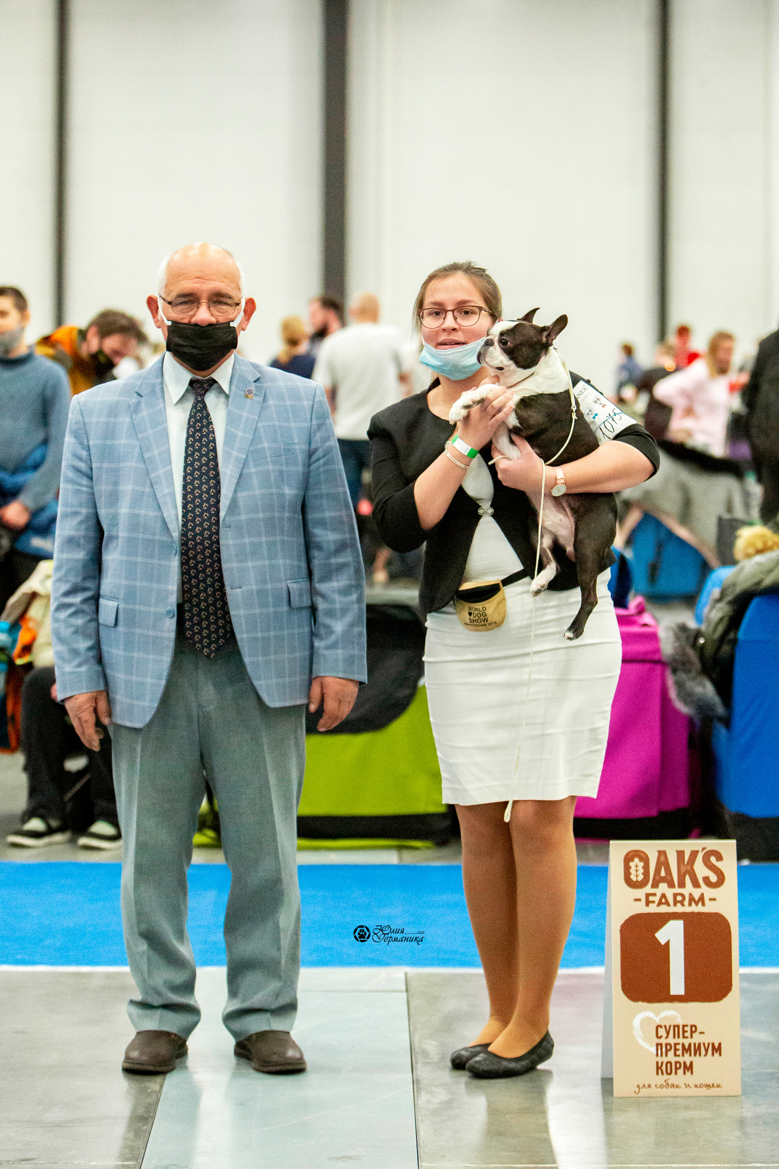 Санкт-Петербург 3хCACIB 10-12 декабря 2021. Фотограф-анималист Юлия Германика