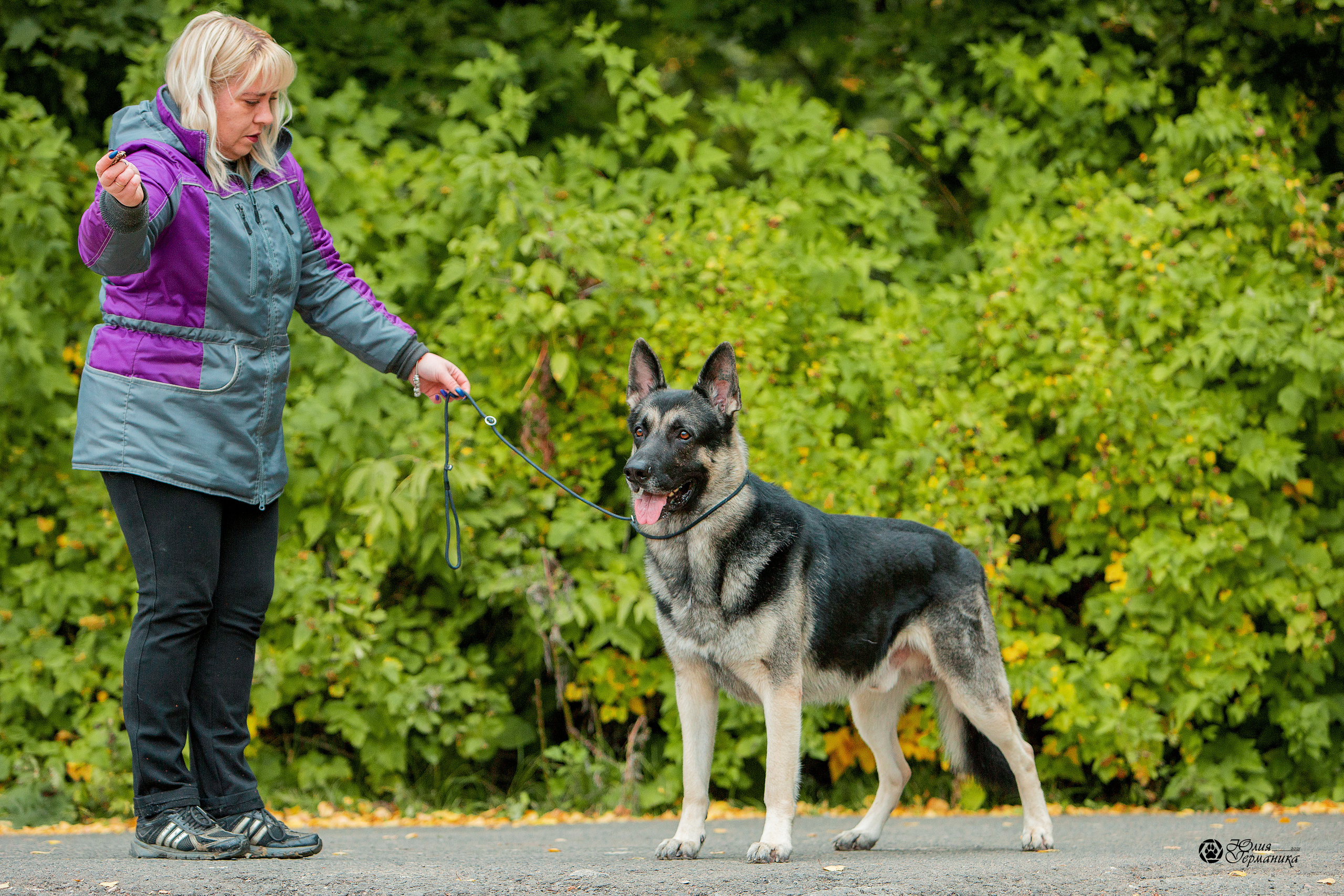 Свободная съемка. Фотограф-анималист Юлия Германика